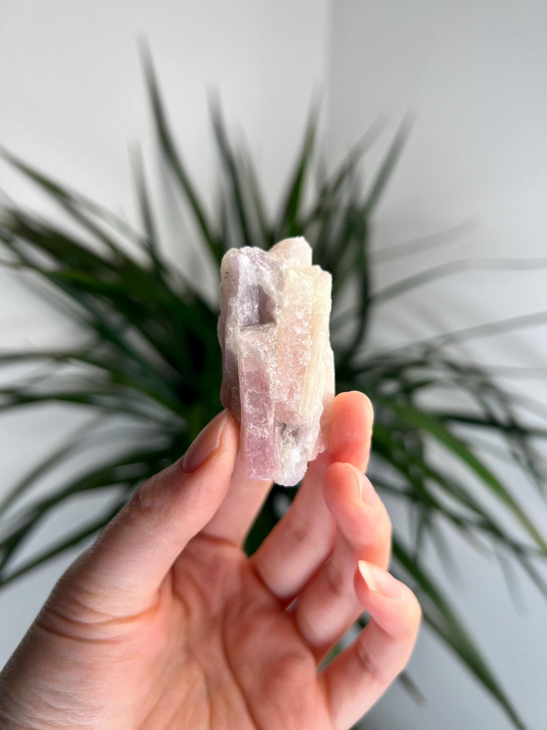 Rare Pink Tourmaline on Aquamarine with Lepidolite Inclusion – Emotional Healing and Spiritual Growth, PTL02, 34g