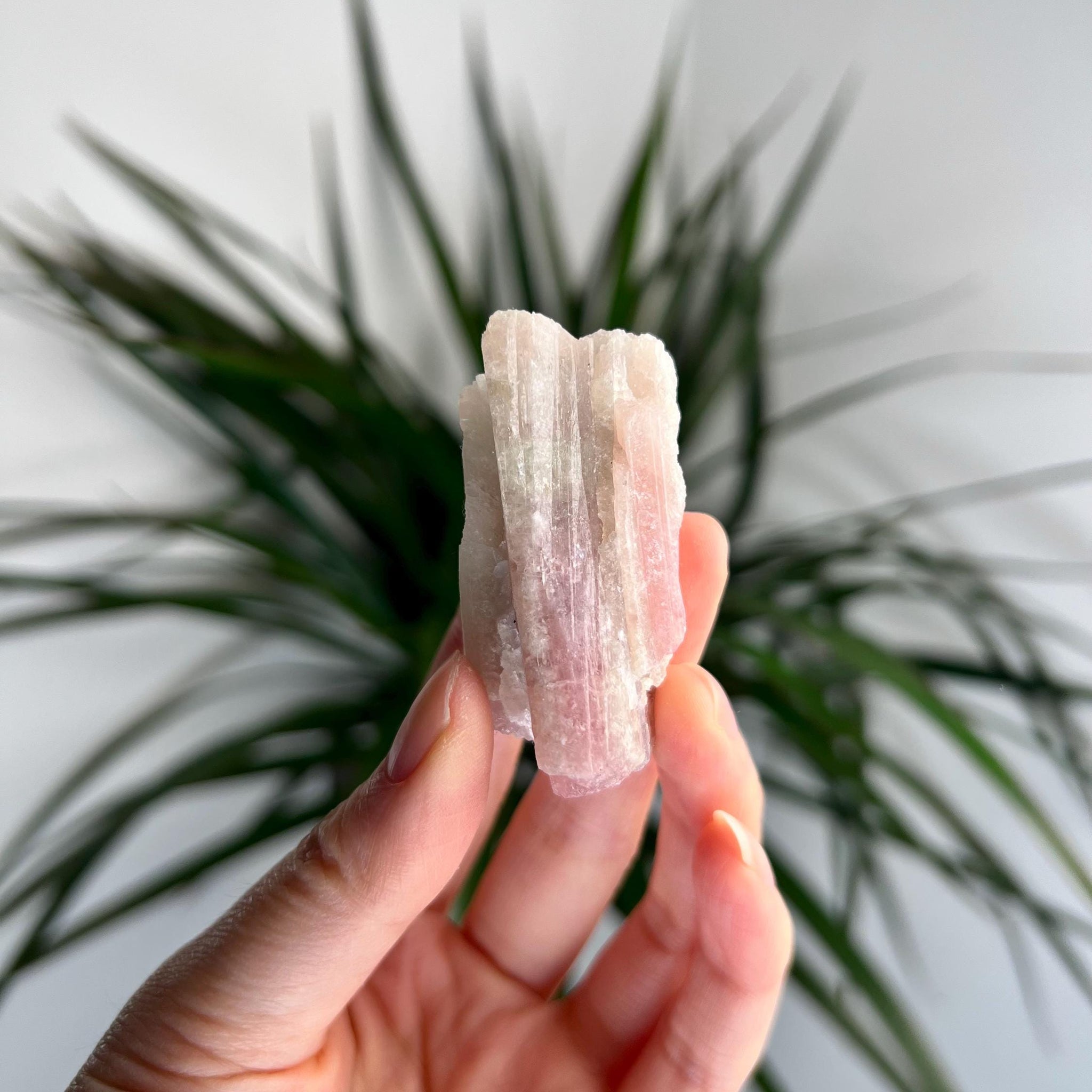 Rare Pink Tourmaline on Aquamarine with Lepidolite Inclusion – Emotional Healing and Spiritual Growth, PTL02, 34g
