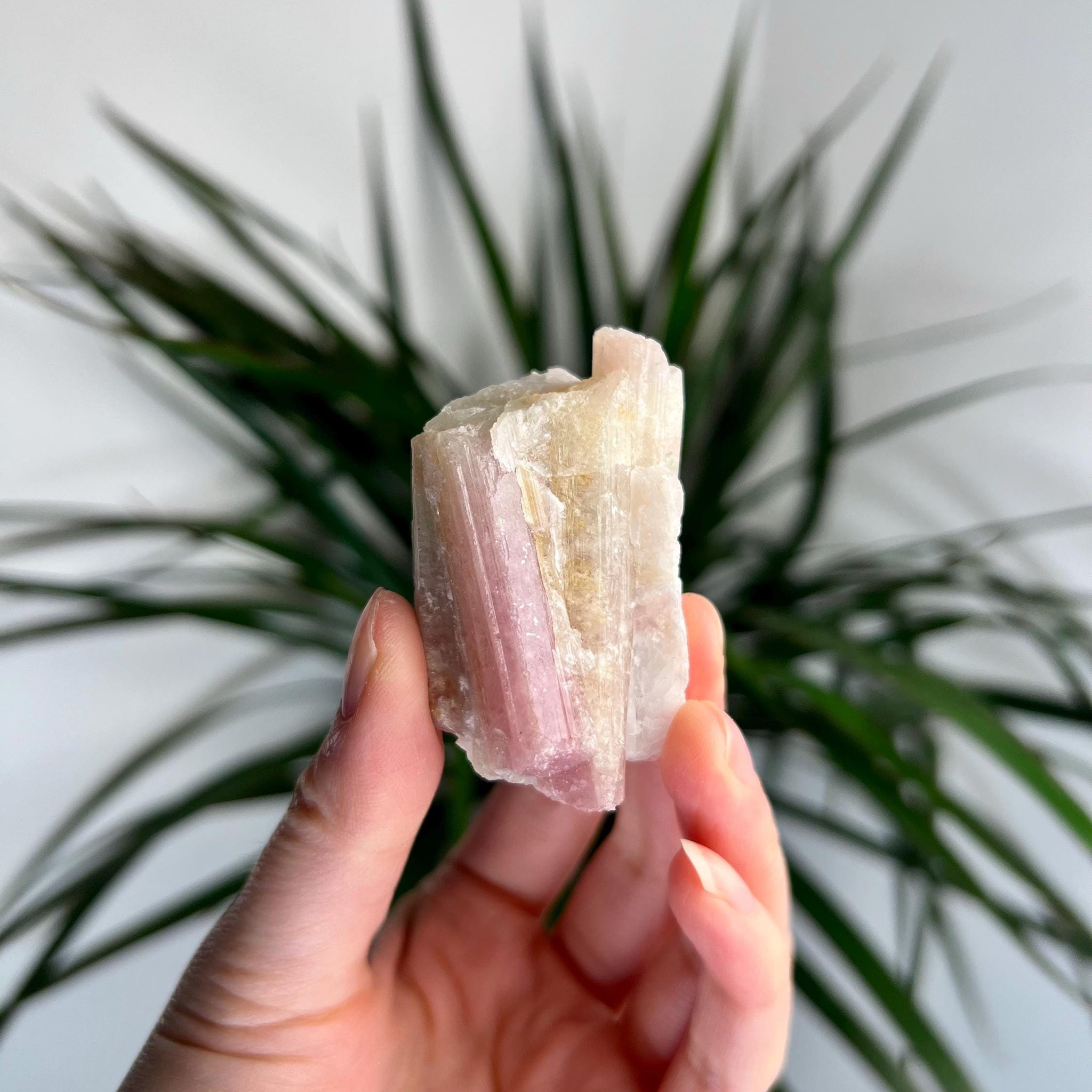 Rare Pink Tourmaline on Aquamarine with Lepidolite Inclusion – Emotional Healing and Spiritual Growth, PTL03, 66g