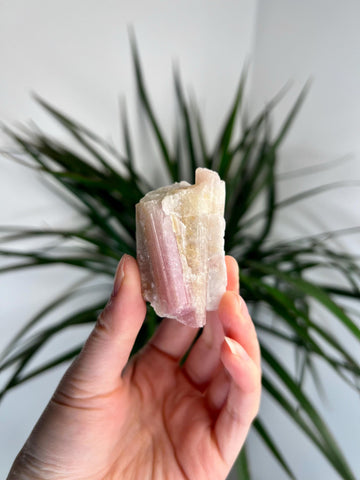 Rare Pink Tourmaline on Aquamarine with Lepidolite Inclusion – Emotional Healing and Spiritual Growth, PTL03, 66g