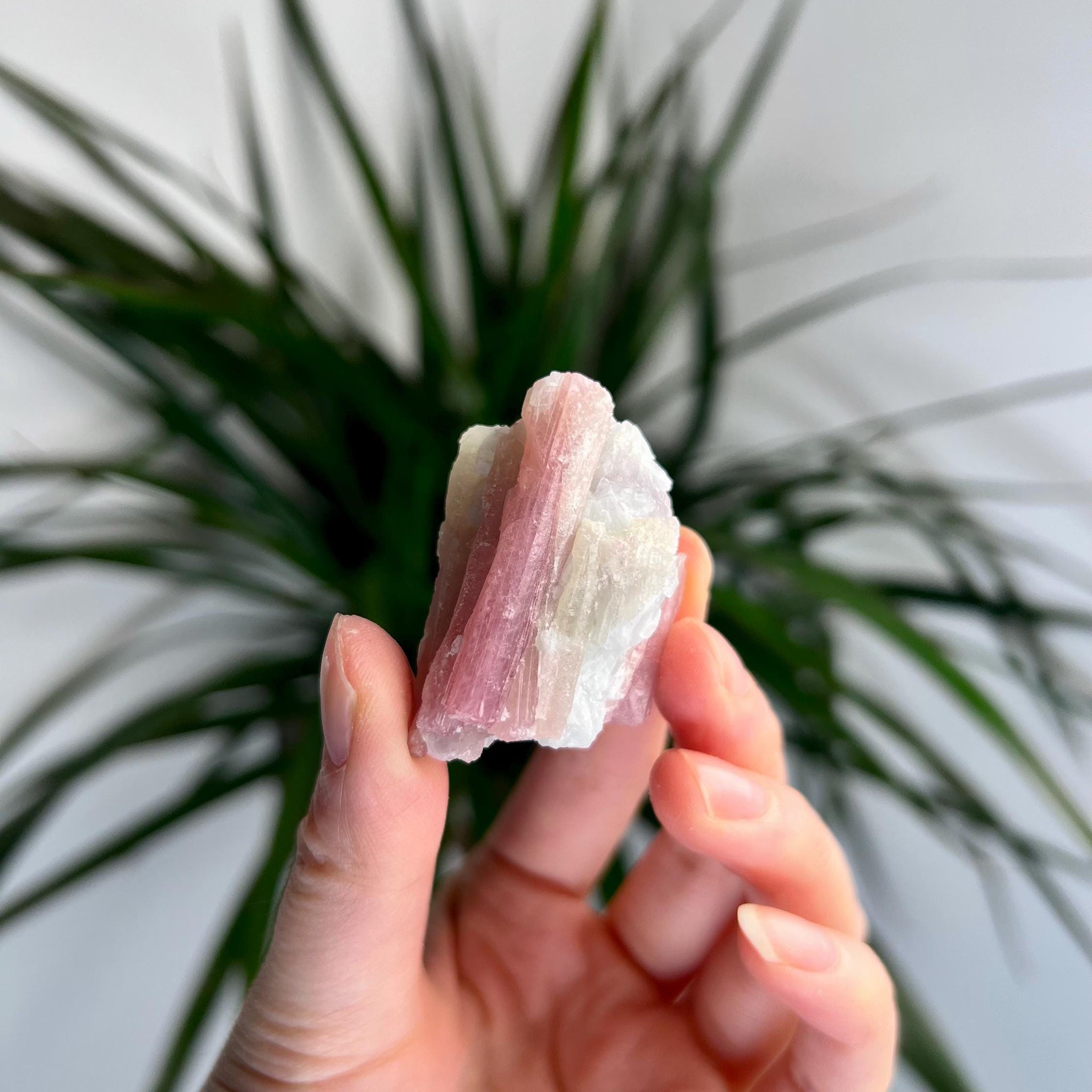 Rare Pink Tourmaline on Aquamarine with Lepidolite Inclusion – Emotional Healing and Spiritual Growth, PTL04, 29g