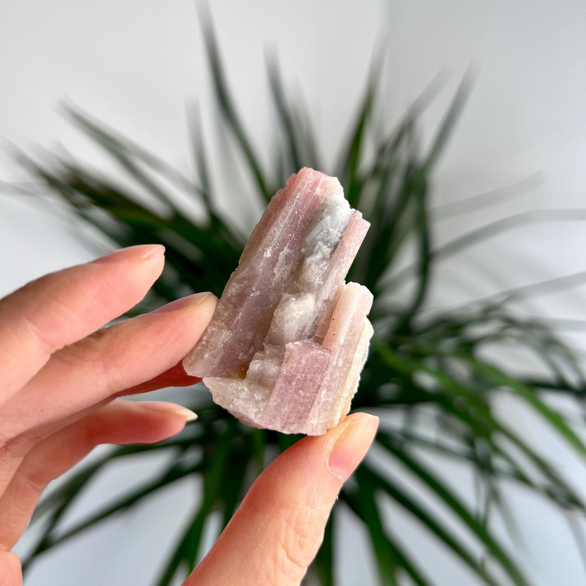 Rare Pink Tourmaline on Aquamarine with Lepidolite Inclusion – Emotional Healing and Spiritual Growth, PTL06,36g