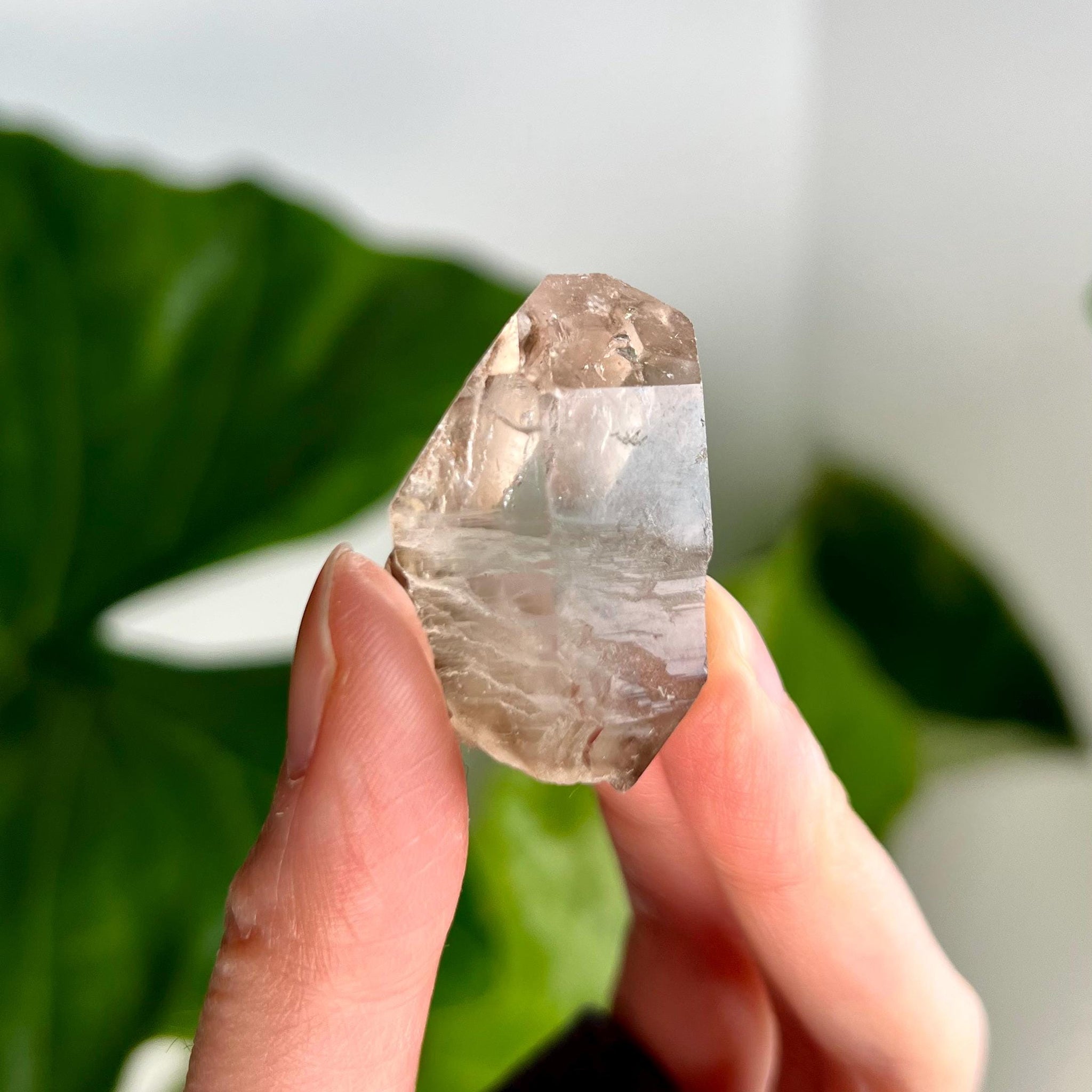Grade AA 100% Natural Smoky Elestial Quartz - A Portal to Mystical Realms and Vibrant Healing 24g, EQC32