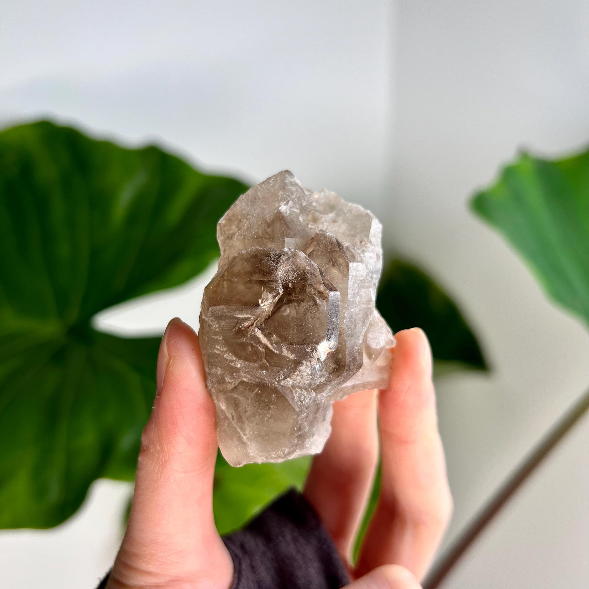 Grade AA 100% Natural Smoky Elestial Quartz - A Portal to Mystical Realms and Vibrant Healing 76g, EQC20