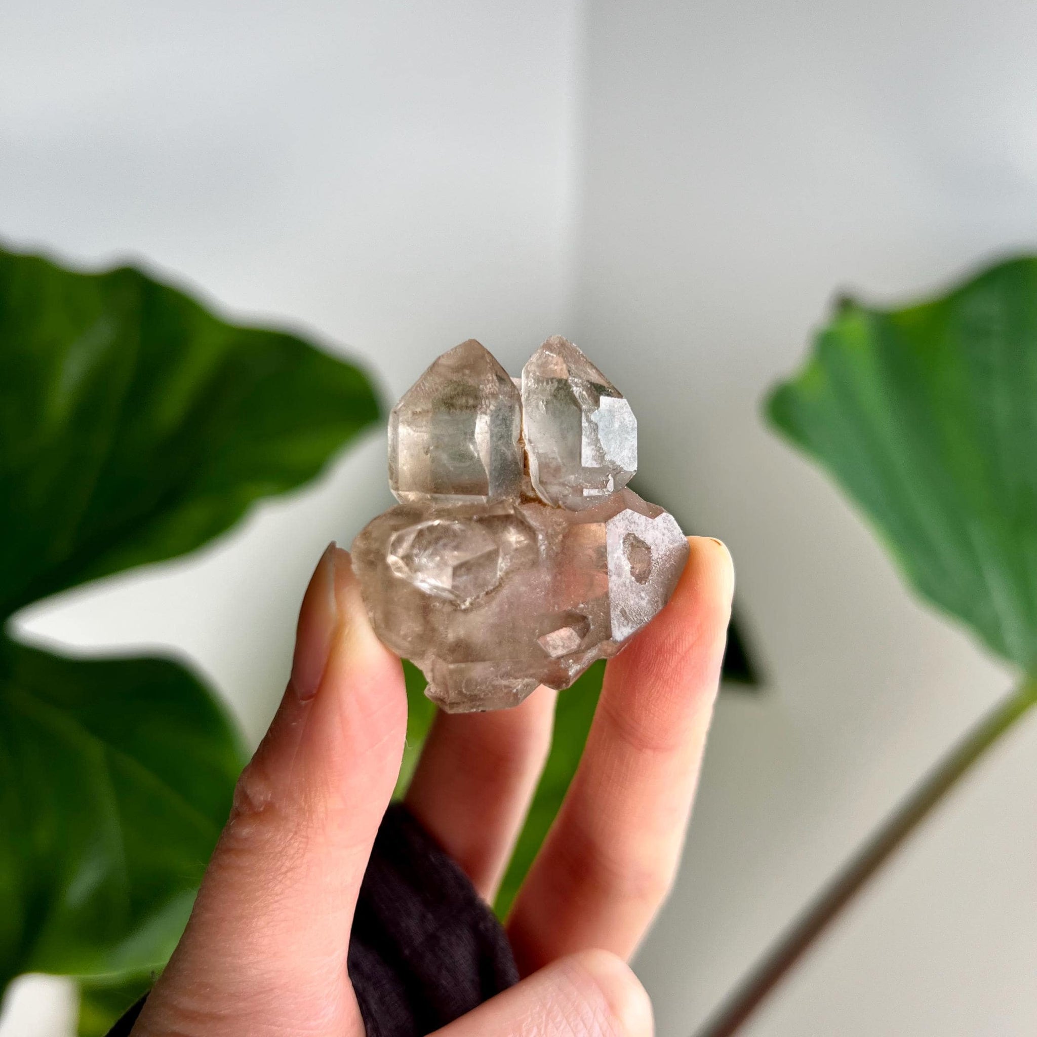 Grade AA 100% Natural Smoky Elestial Quartz - A Portal to Mystical Realms and Vibrant Healing 33g, EQC23