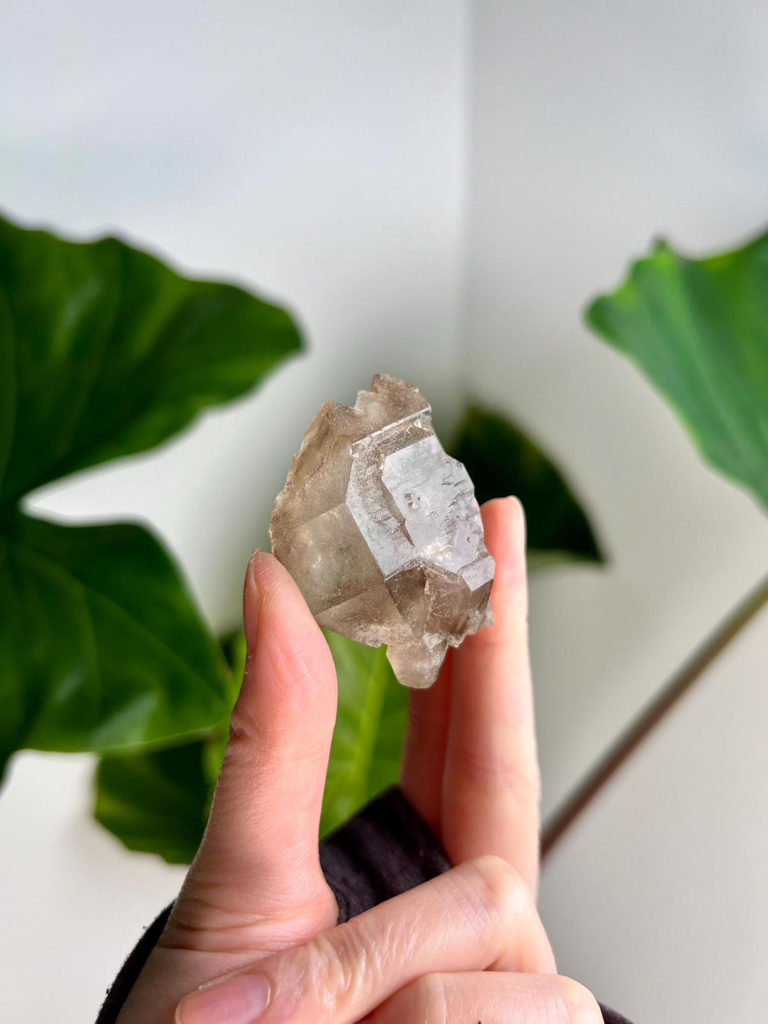 Grade AA 100% Natural Smoky Elestial Quartz - A Portal to Mystical Realms and Vibrant Healing 47g, EQC15