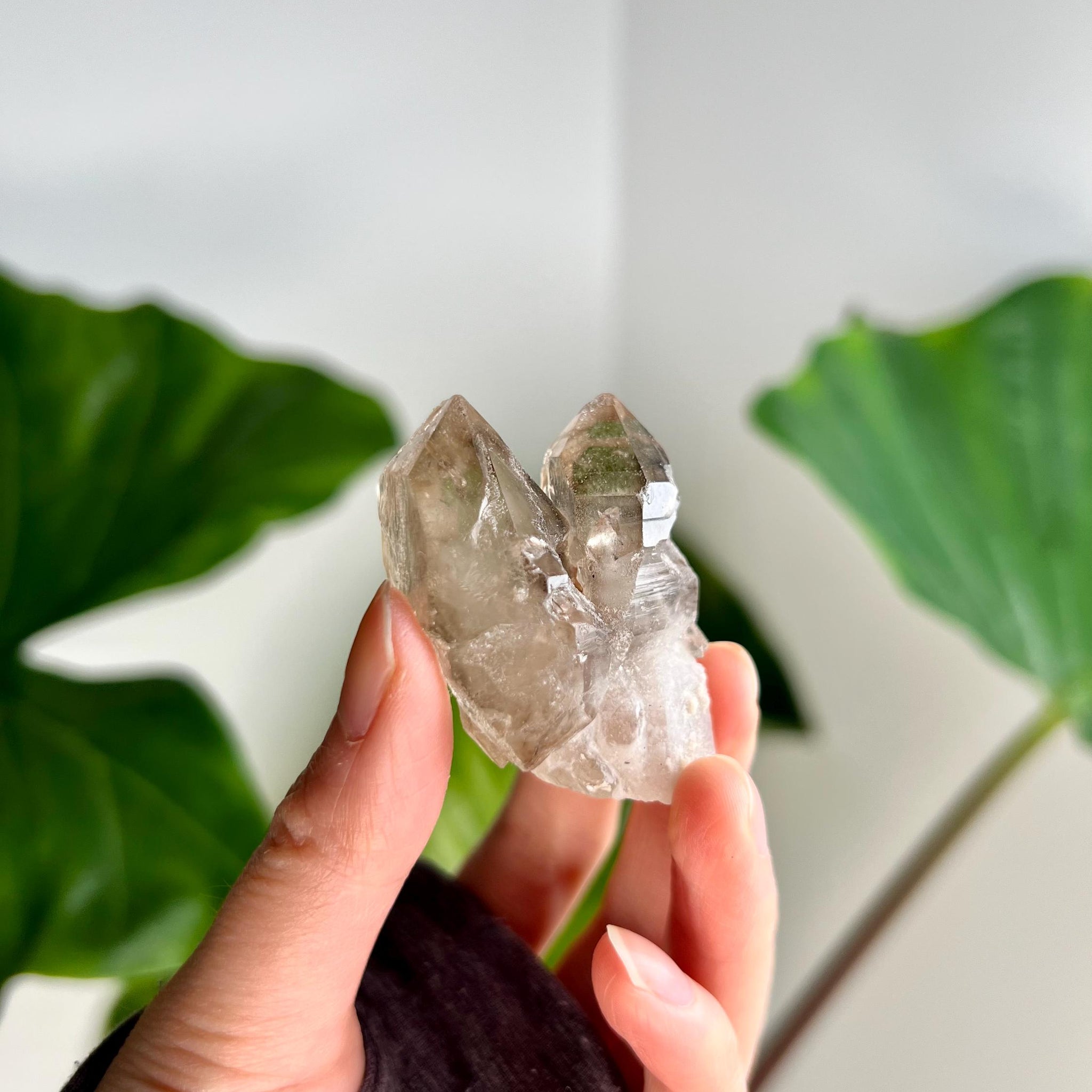 Grade A+ Twin 100% Natural Smoky Elestial Quartz - A Portal to Mystical Realms and Vibrant Healing 47g, EQC21