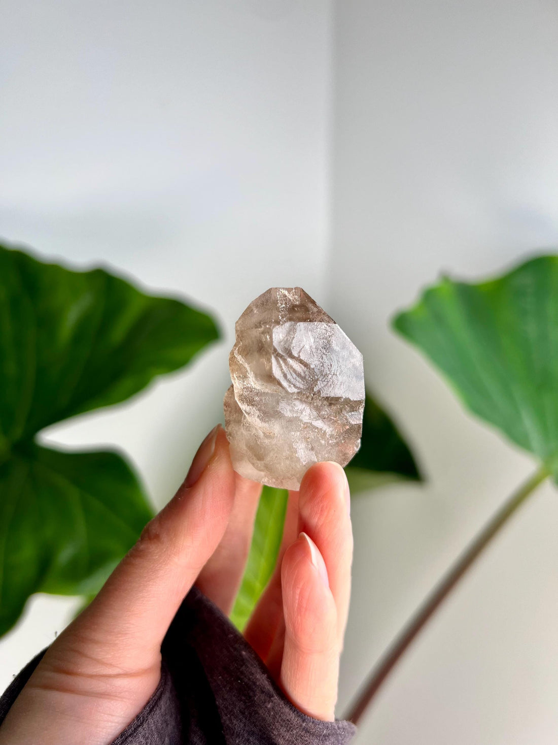 Grade A+ Twin 100% Natural Smoky Elestial Quartz - A Portal to Mystical Realms and Vibrant Healing 47g, EQC21