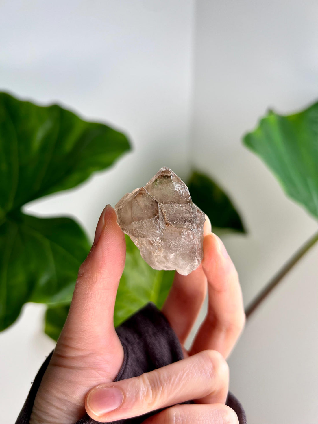 Grade A 100% Natural Smoky Elestial Quartz - A Portal to Mystical Realms and Vibrant Healing 36g, EQC29