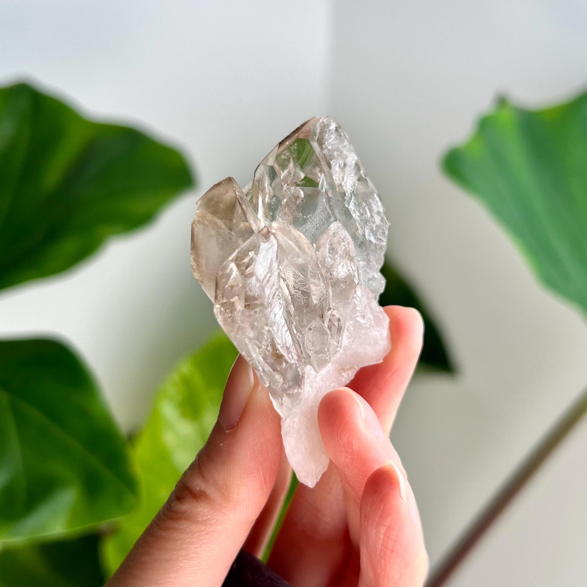 Grade AA 100% Natural Smoky Elestial Quartz - A Portal to Mystical Realms and Vibrant Healing 47g, EQC25