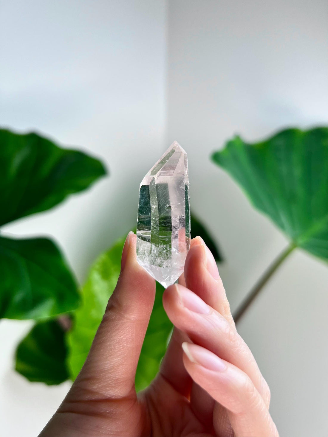 Grade AA 100% Natural Double-Terminated Lemurian -  from South Serra do Cabral Region, LPS48, 22g