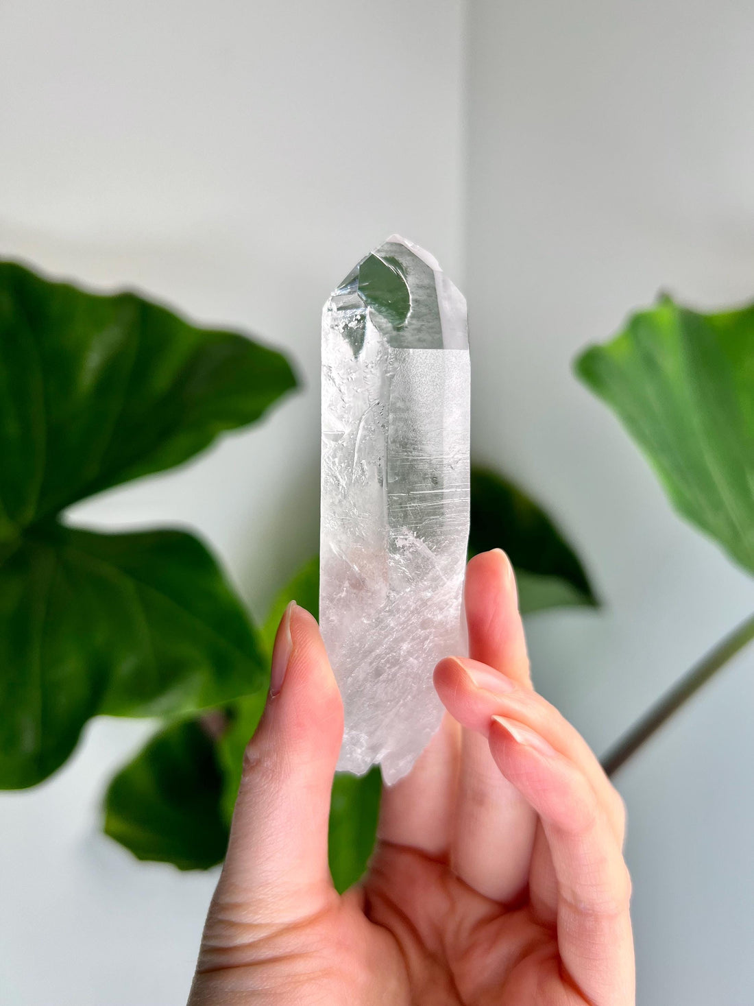 Grade A+ Starbrary Quartz – Unique Glyphs, Record Keepers, and Galactic Wisdom, from Tomás Gonzaga, Minas Gerais, Brazil RQG04, 93g
