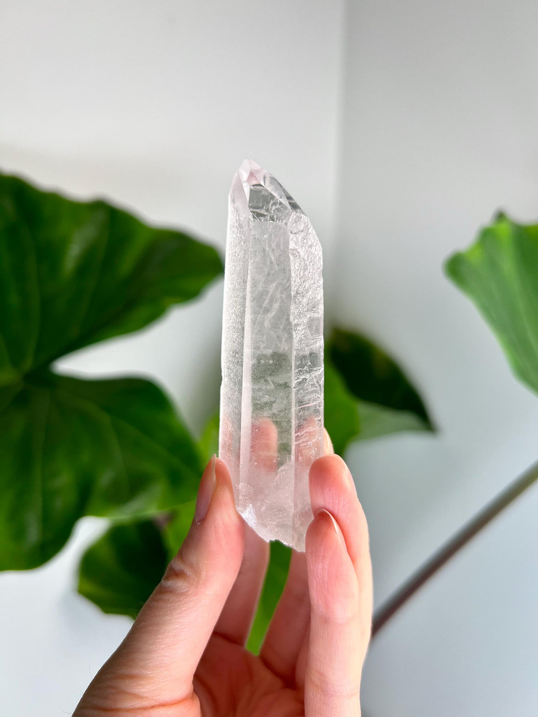 Grade A+ Starbrary Quartz – Unique Glyphs, Record Keepers, and Galactic Wisdom, from Tomás Gonzaga, Minas Gerais, Brazil RQG09, 83g