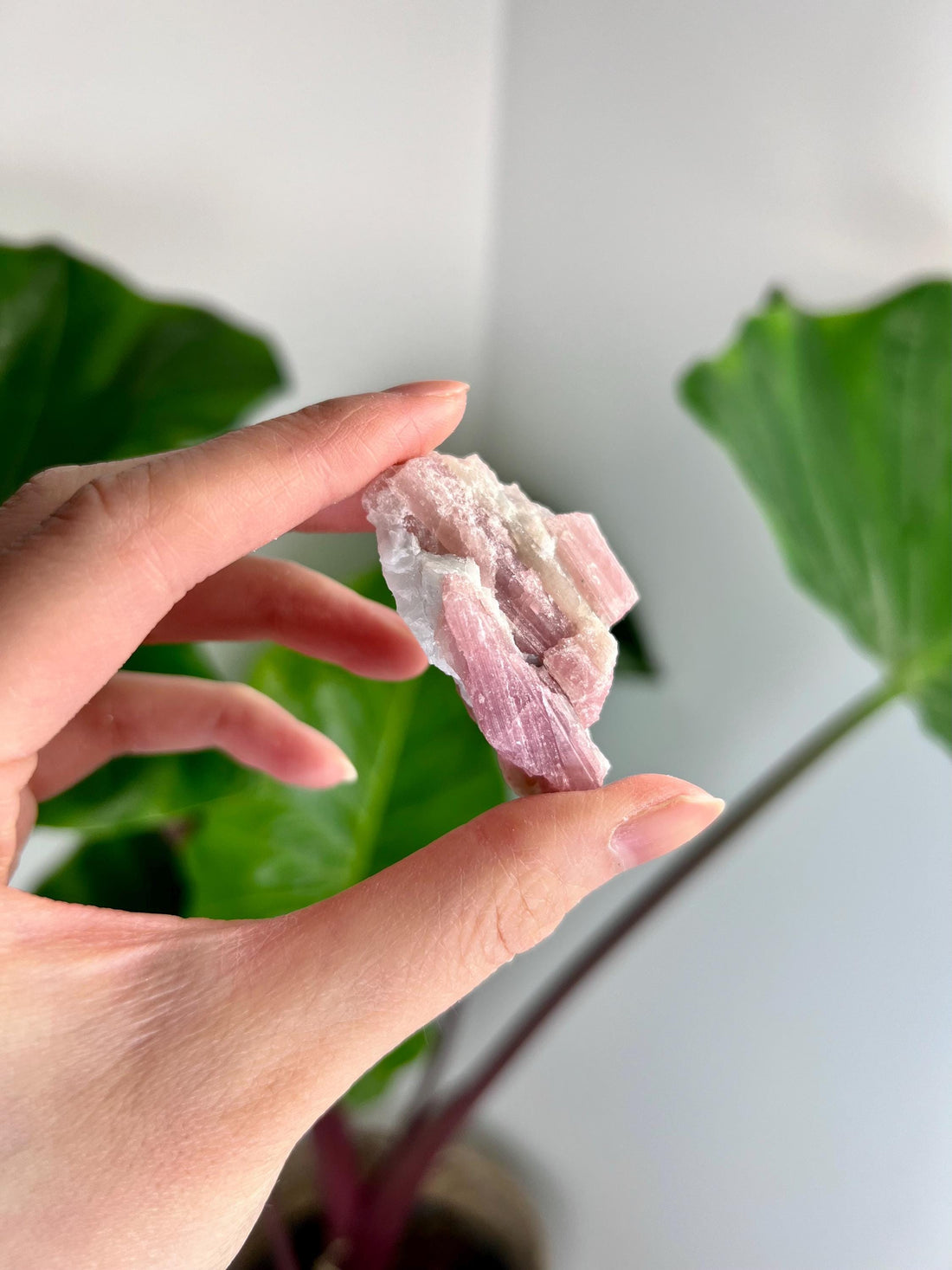 Grade A Natural Pink Tourmaline on Aquamarine,A Harmonious Blend of Love and Serenity PTC38, 36g
