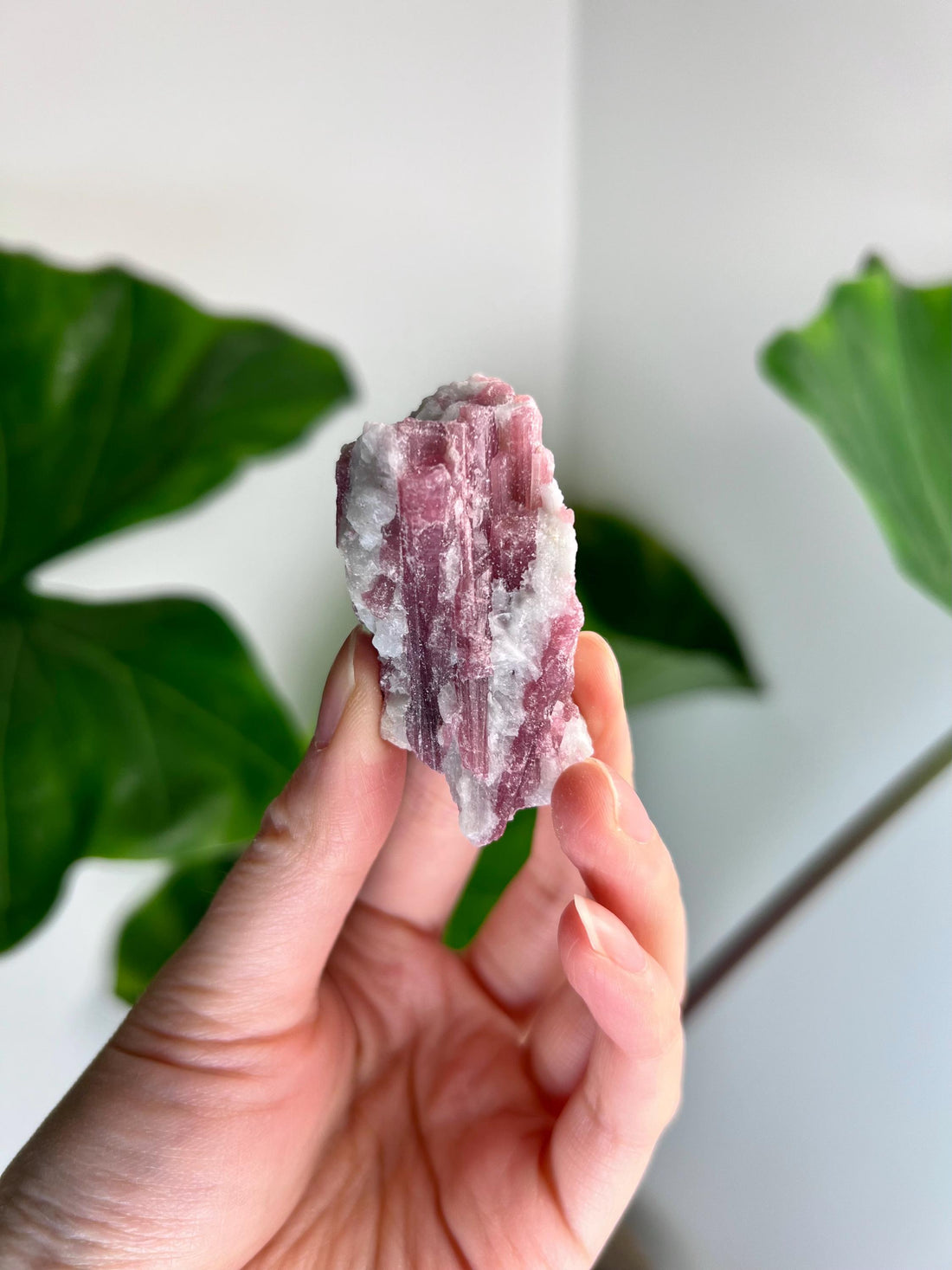 Grade AA Natural Pink Tourmaline on Aquamarine,A Harmonious Blend of Love and Serenity PTC40, 42g