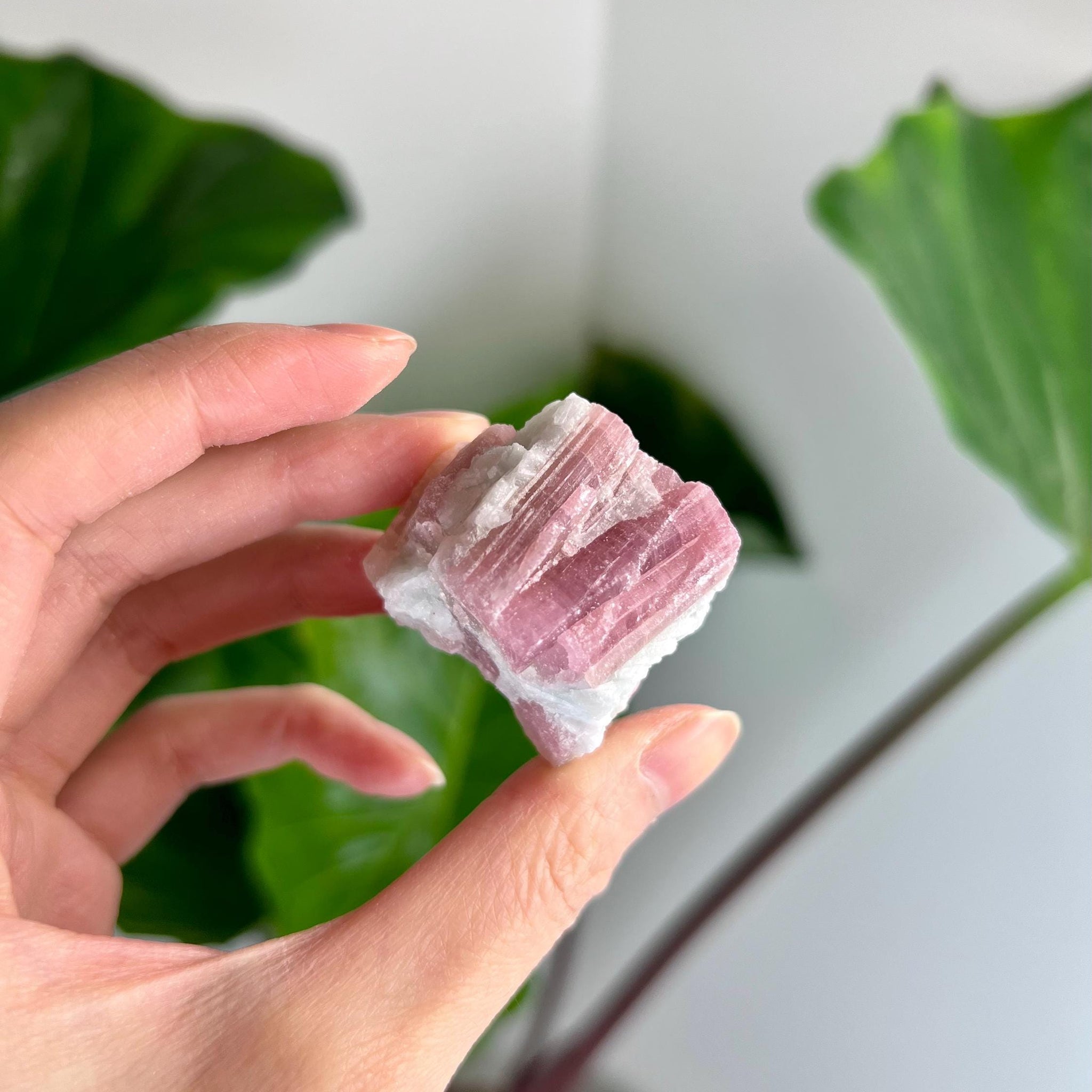Grade AA Natural Pink Tourmaline on Aquamarine,A Harmonious Blend of Love and Serenity PTC42, 44g