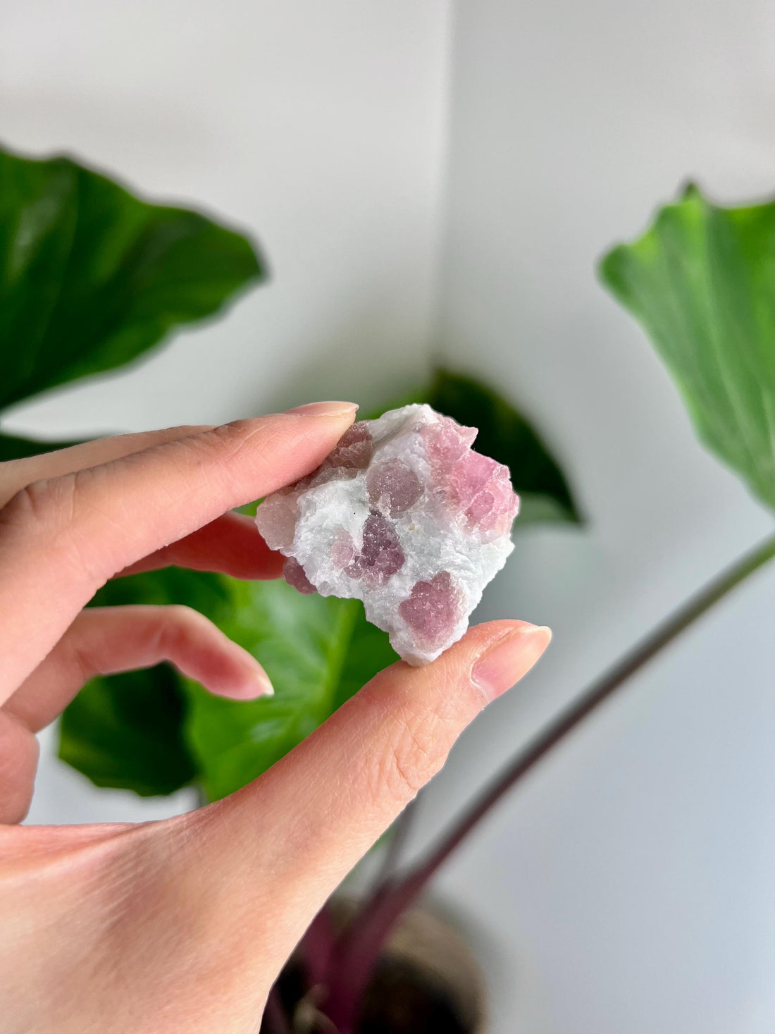 Grade AA Natural Pink Tourmaline on Aquamarine,A Harmonious Blend of Love and Serenity PTC42, 44g