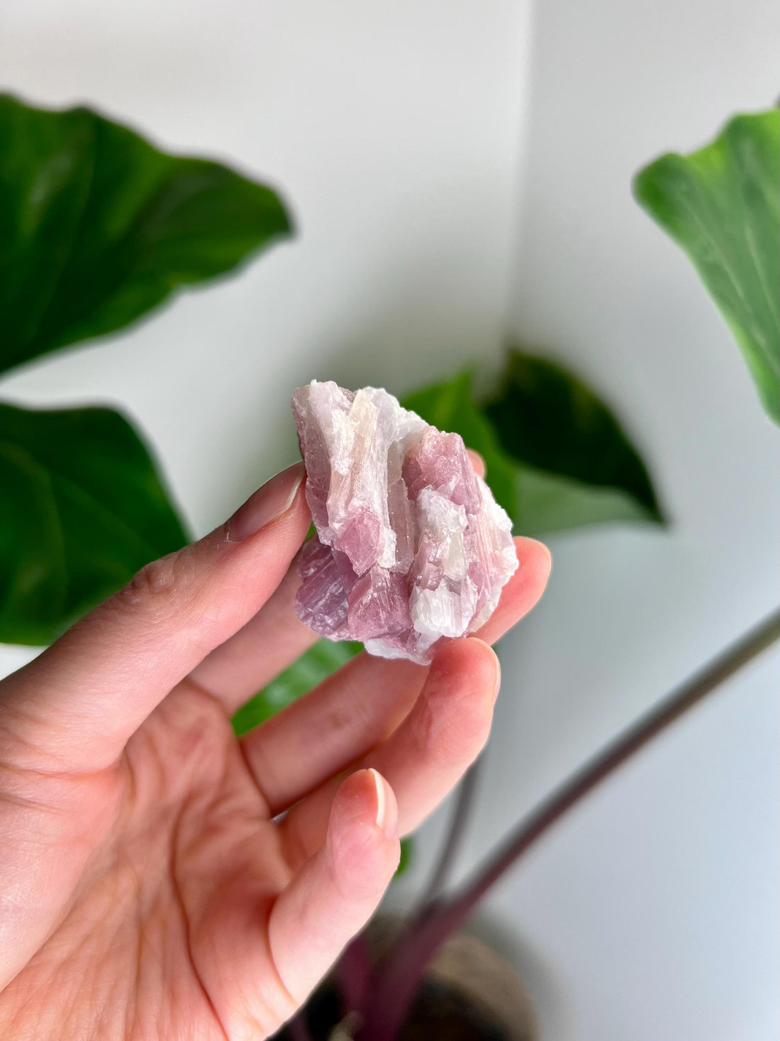 Grade AA Natural Pink Tourmaline on Aquamarine,A Harmonious Blend of Love and Serenity PTC47, 49g