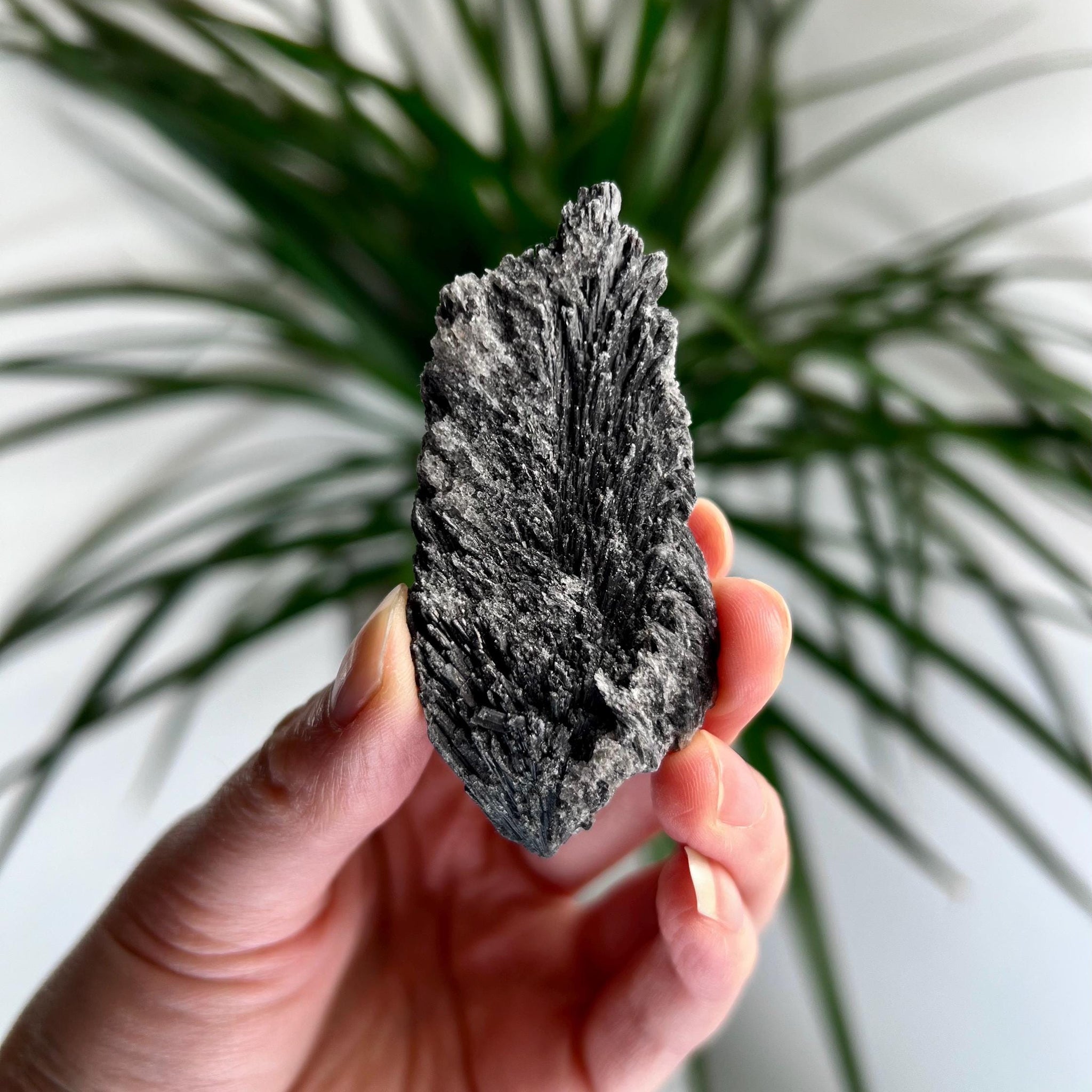 Grade A Natural Black Kyanite Crystal from Araçuaí, Minas Gerais – Hand Selected, BC16, 30g