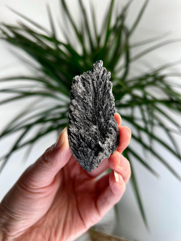Grade A Natural Black Kyanite Crystal from Araçuaí, Minas Gerais – Hand Selected, BC16, 30g