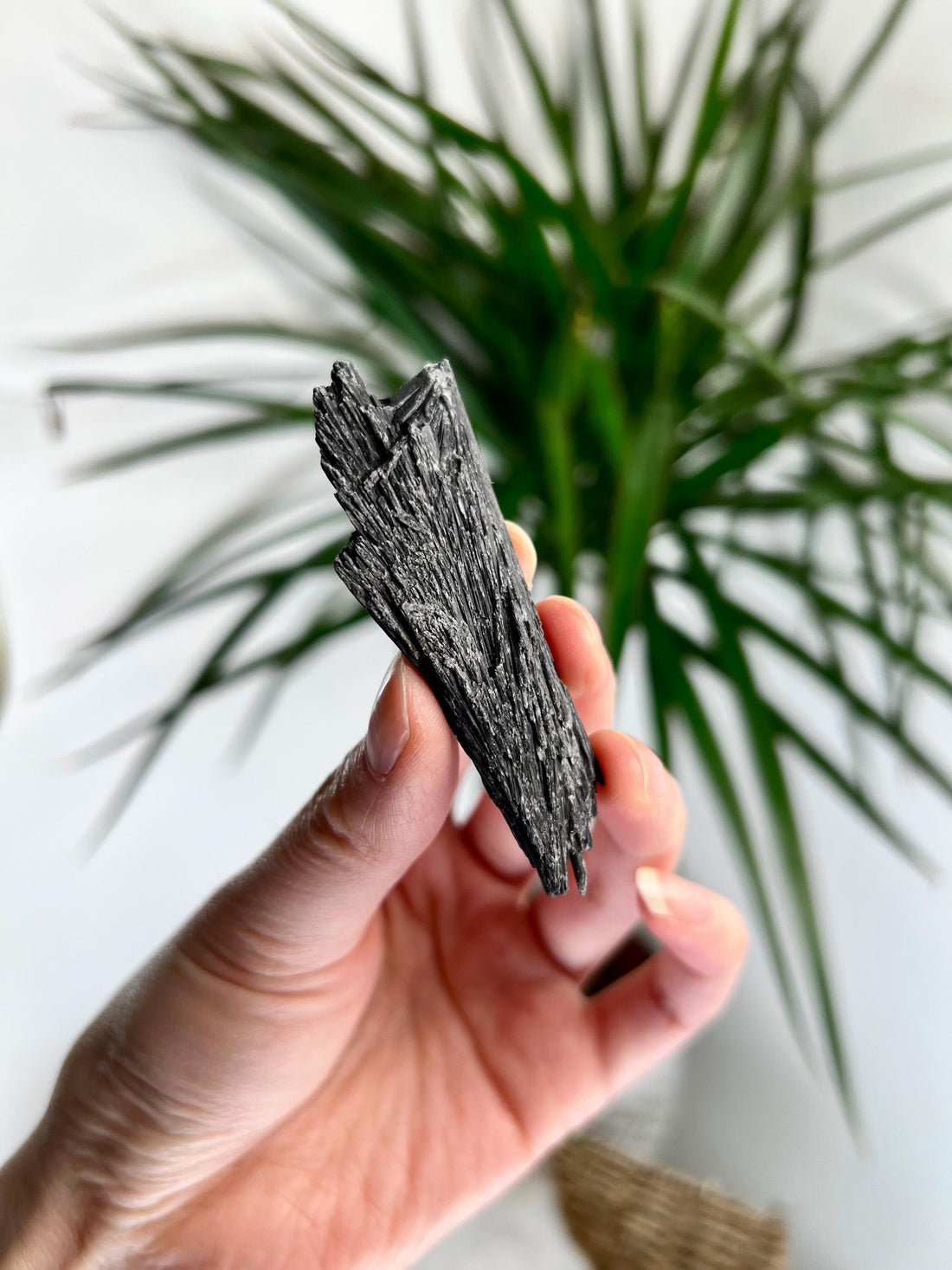 Grade A Natural Black Kyanite Crystal from Araçuaí, Minas Gerais – Hand Selected, BC22, 20g
