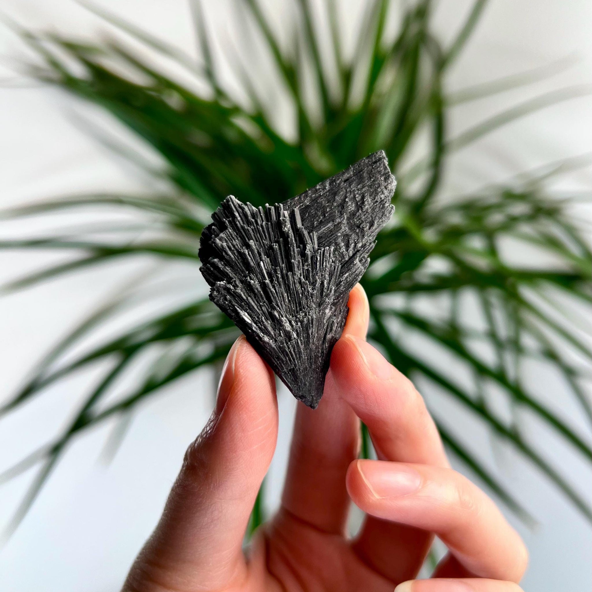 Grade A Natural Black Kyanite Crystal from Araçuaí, Minas Gerais – Hand Selected, BC23, 19g