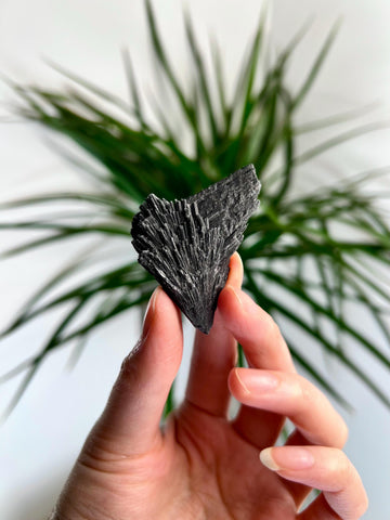Grade A Natural Black Kyanite Crystal from Araçuaí, Minas Gerais – Hand Selected, BC23, 19g