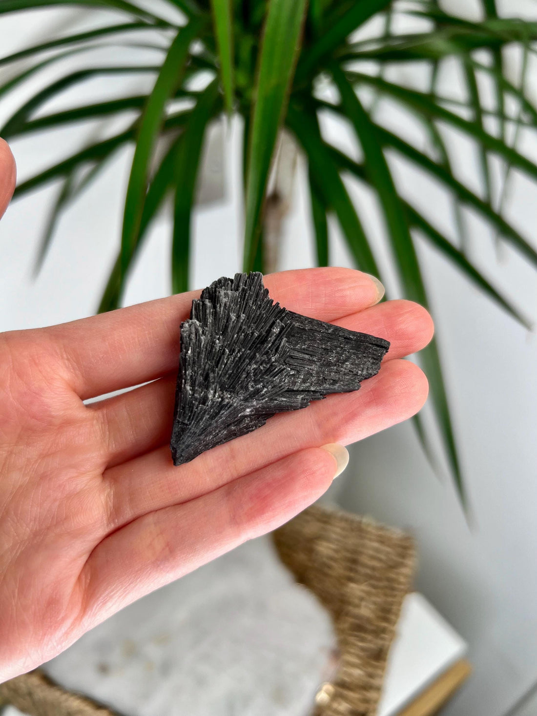 Grade A Natural Black Kyanite Crystal from Araçuaí, Minas Gerais – Hand Selected, BC23, 19g