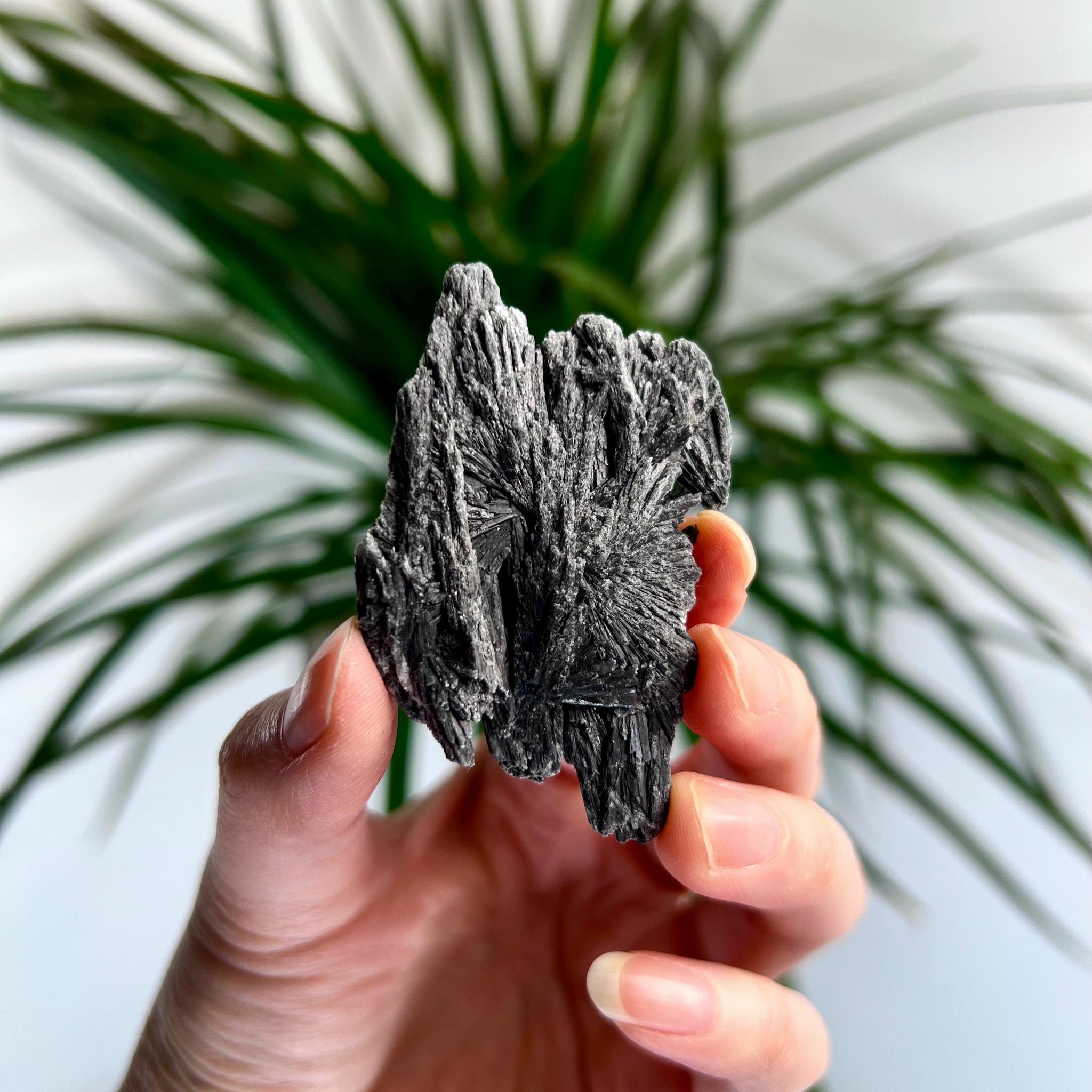 Grade A Natural Black Kyanite Crystal from Araçuaí, Minas Gerais – Hand Selected, BC24, 24g