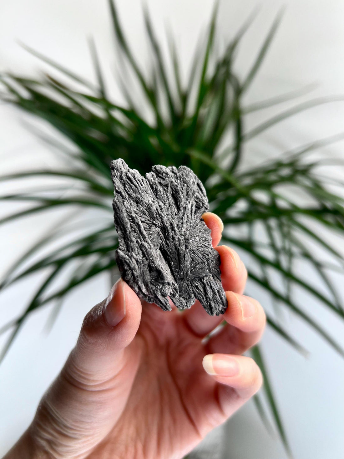 Grade A Natural Black Kyanite Crystal from Araçuaí, Minas Gerais – Hand Selected, BC24, 24g