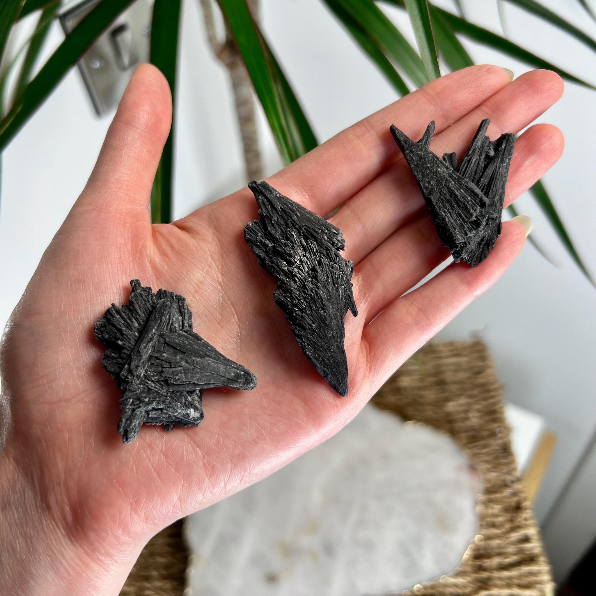 Grade A Natural Black Kyanite Crystal from Araçuaí, Minas Gerais – Special Pick, Multiple Variations D-F