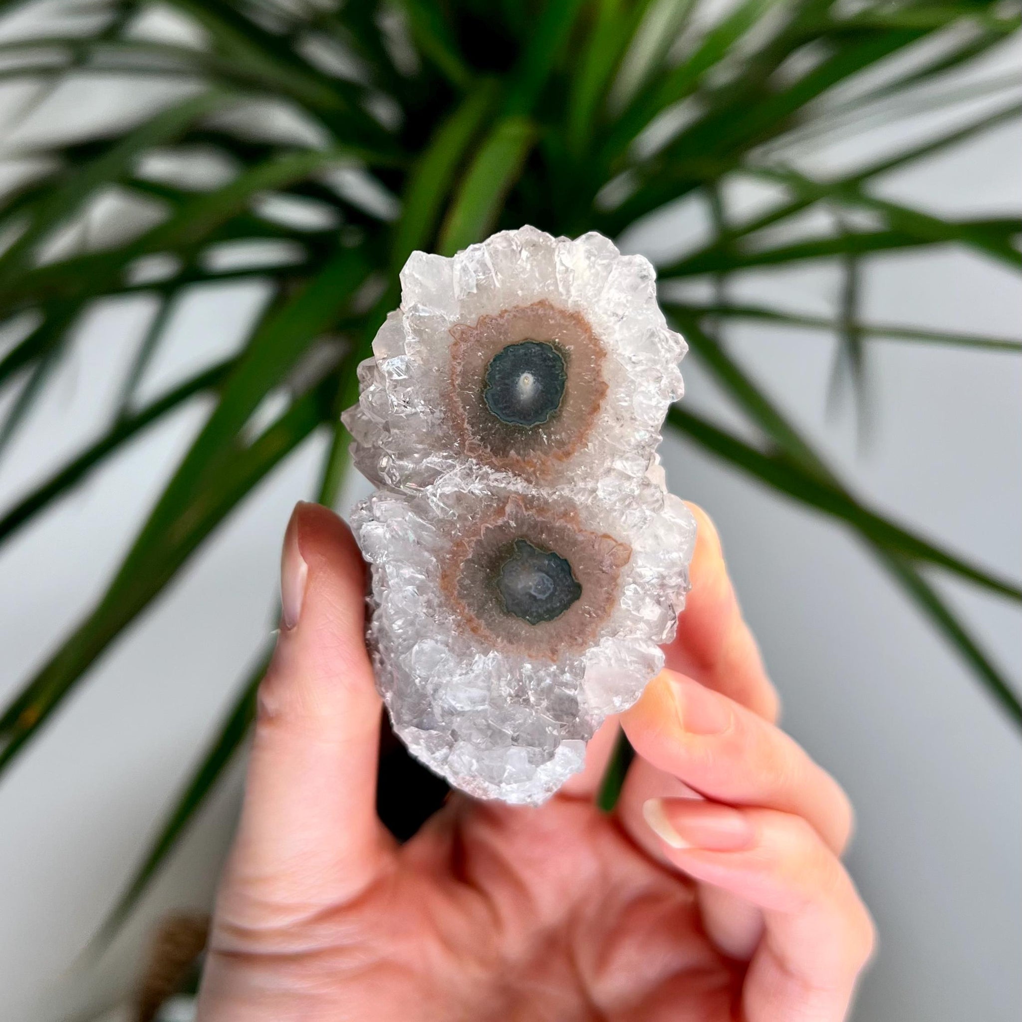Grade A+ Natural Amethyst Flower Stalactite from Uruguay – Unique Formation, High-Energy Healing Crystal - US35, 111g