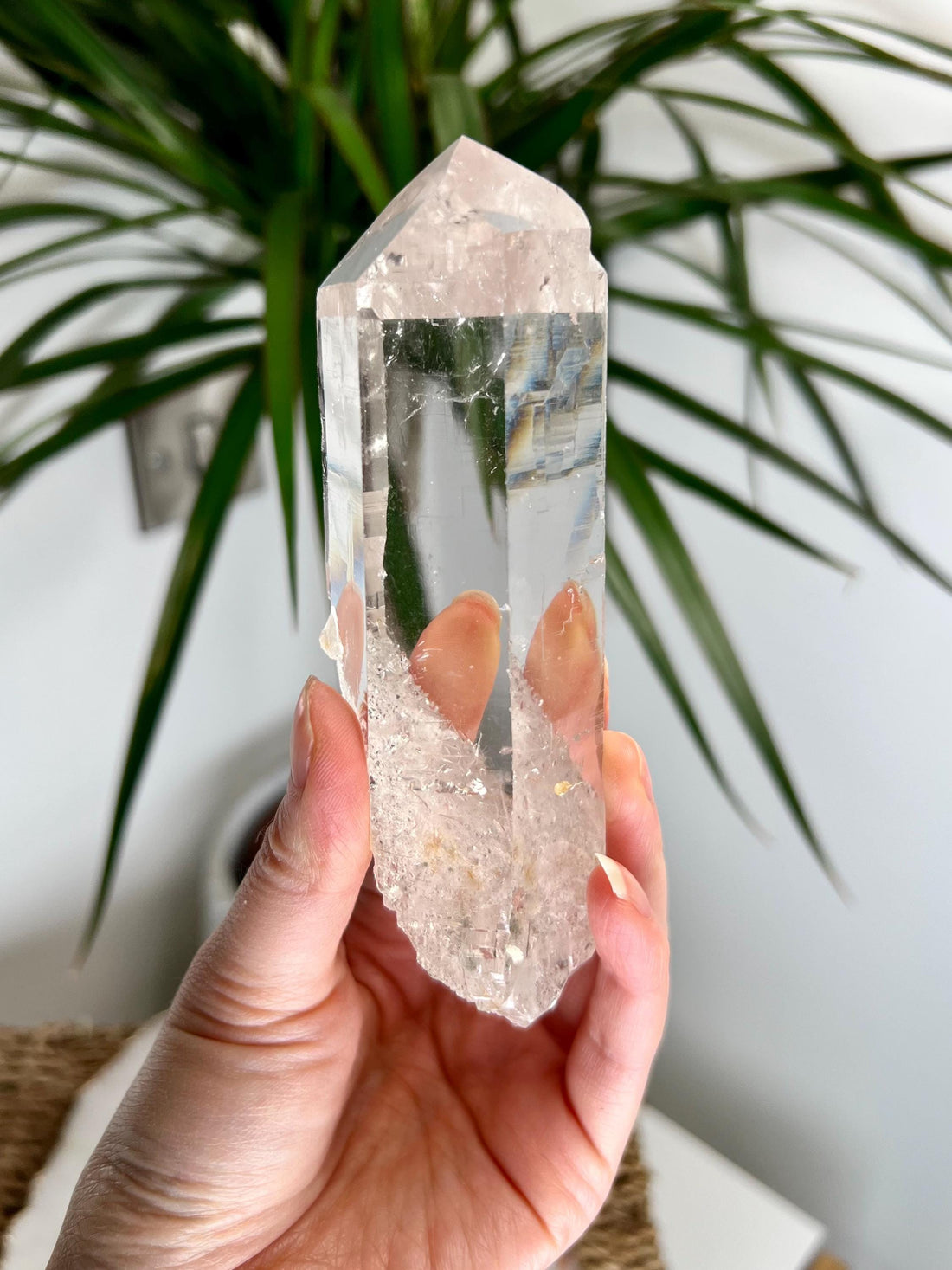 Grade AA+ Cathedral Lemurian Quartz Point – Chlorite and Rutile, from Diamantina, Brazil, Akashic Record Access - LCC15, 273g