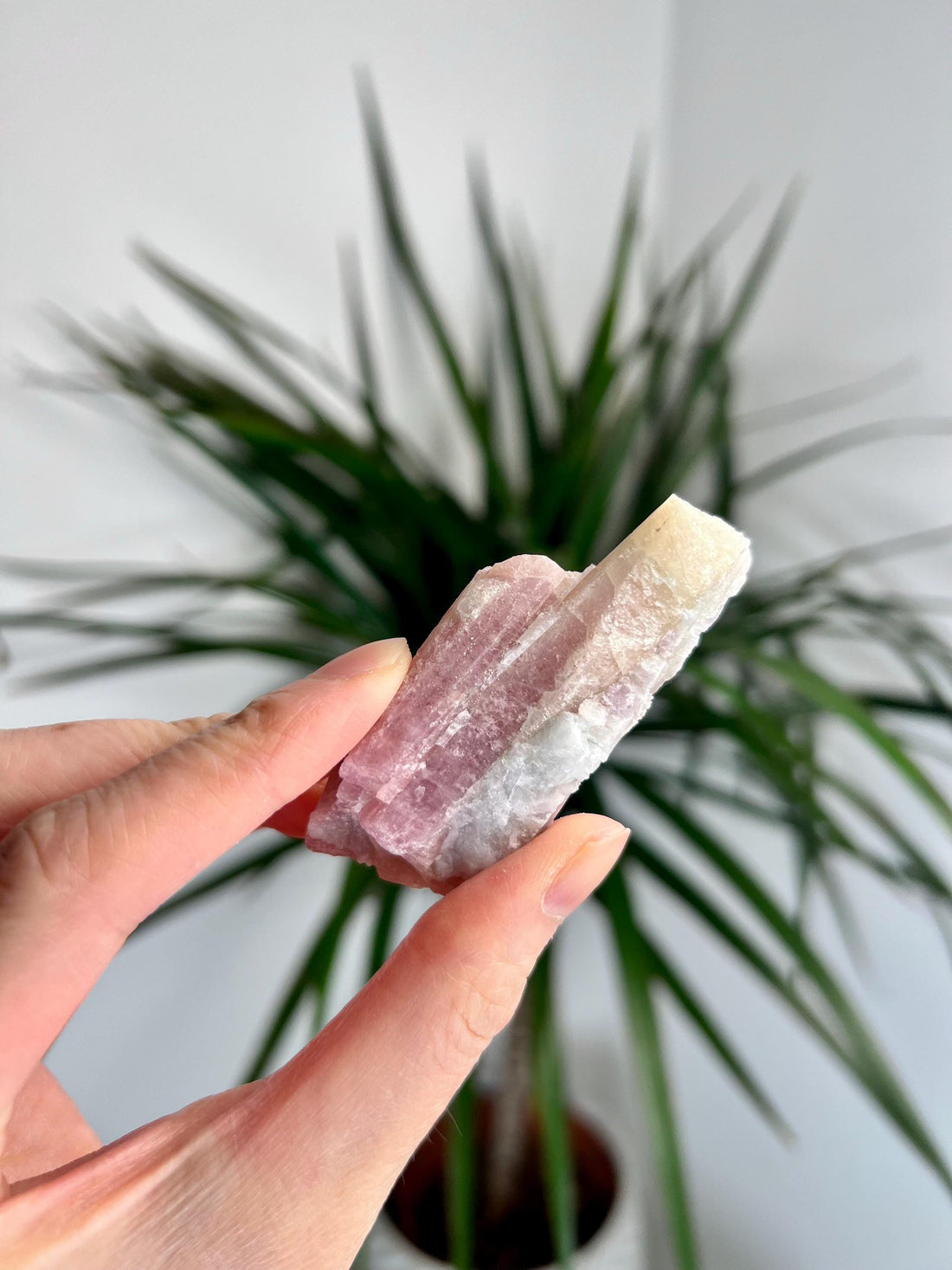 Rare Pink Tourmaline on Aquamarine with Lepidolite Inclusion – Emotional Healing and Spiritual Growth, PTL01, 48g