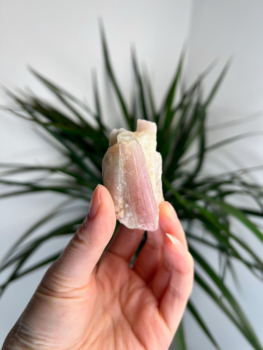 Rare Pink Tourmaline on Aquamarine with Lepidolite Inclusion – Emotional Healing and Spiritual Growth, PTL03, 66g