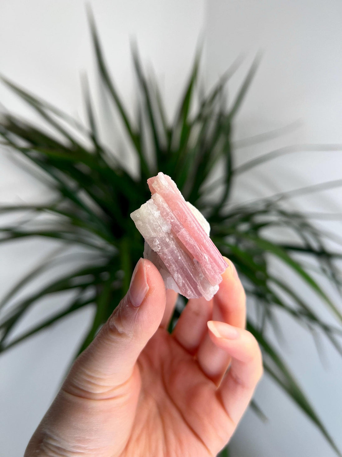 Rare Pink Tourmaline on Aquamarine with Lepidolite Inclusion – Emotional Healing and Spiritual Growth, PTL04, 29g
