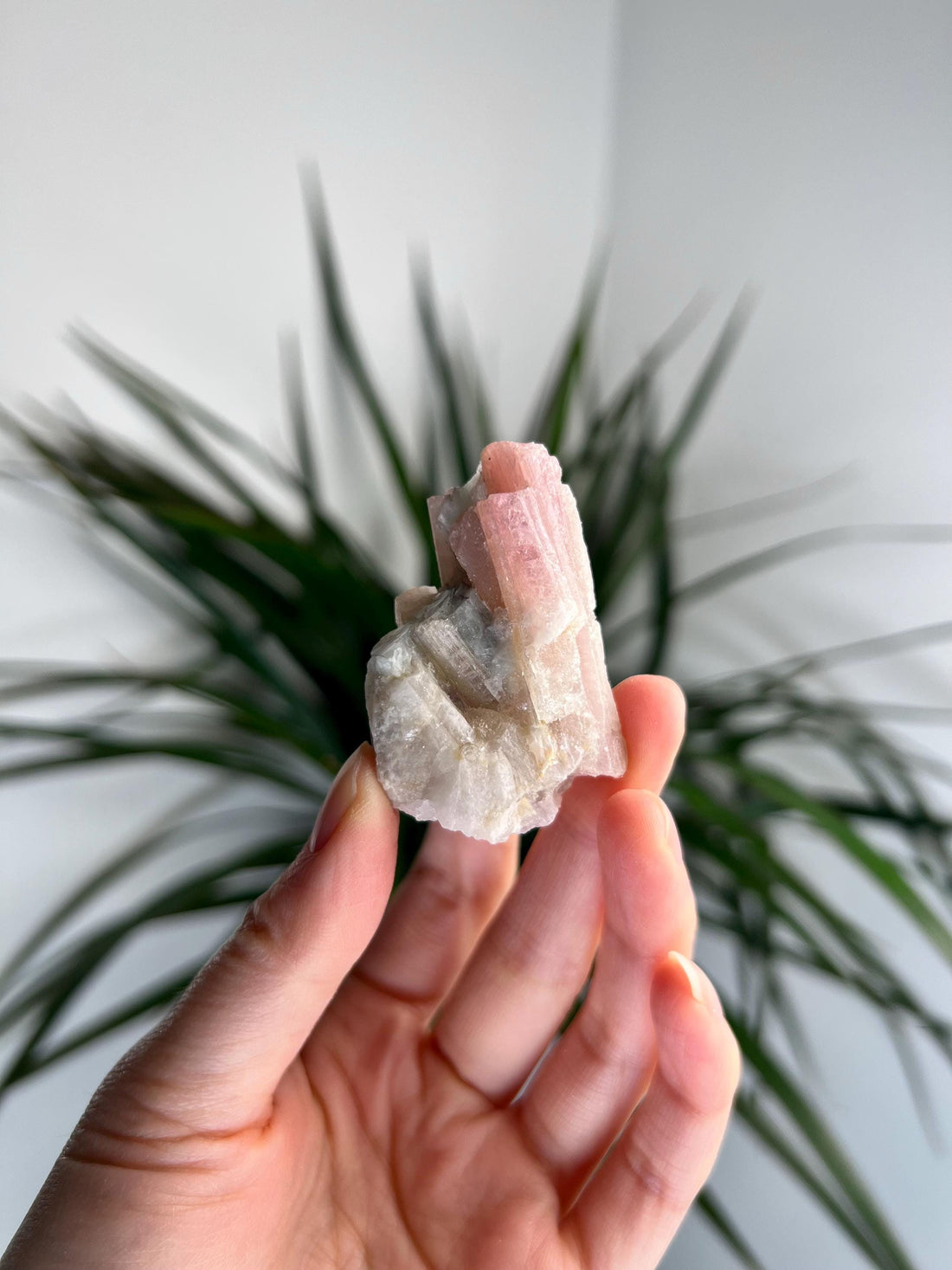 Rare Pink Tourmaline on Aquamarine with Lepidolite Inclusion – Emotional Healing and Spiritual Growth, PTL06,36g