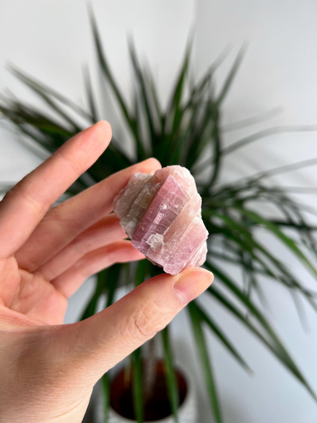 Rare Pink Tourmaline on Aquamarine with Lepidolite Inclusion – Emotional Healing and Spiritual Growth, PTL07, 56g