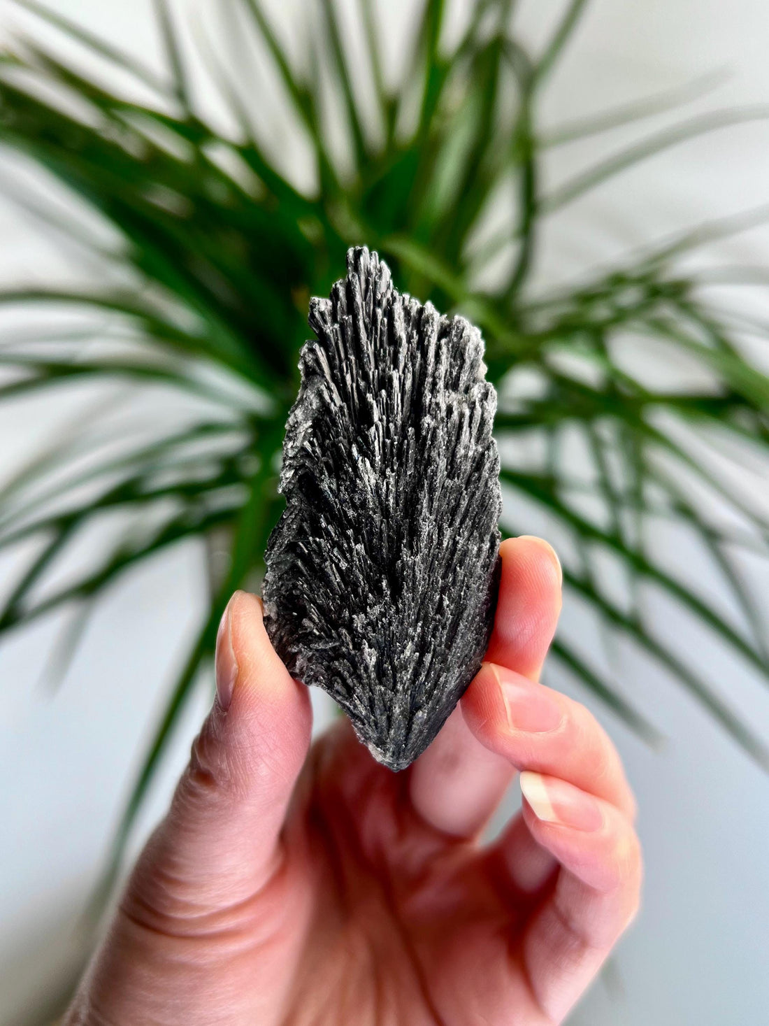 Grade A Natural Black Kyanite Crystal from Araçuaí, Minas Gerais – Hand Selected, BC16, 30g