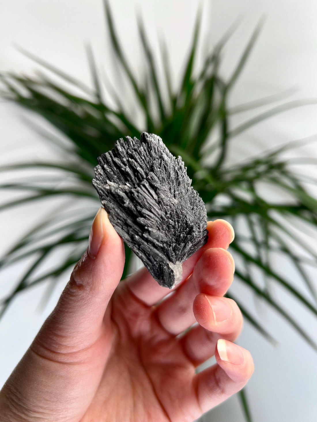 Grade A Natural Black Kyanite Crystal from Araçuaí, Minas Gerais – Hand Selected, BC17, 24g