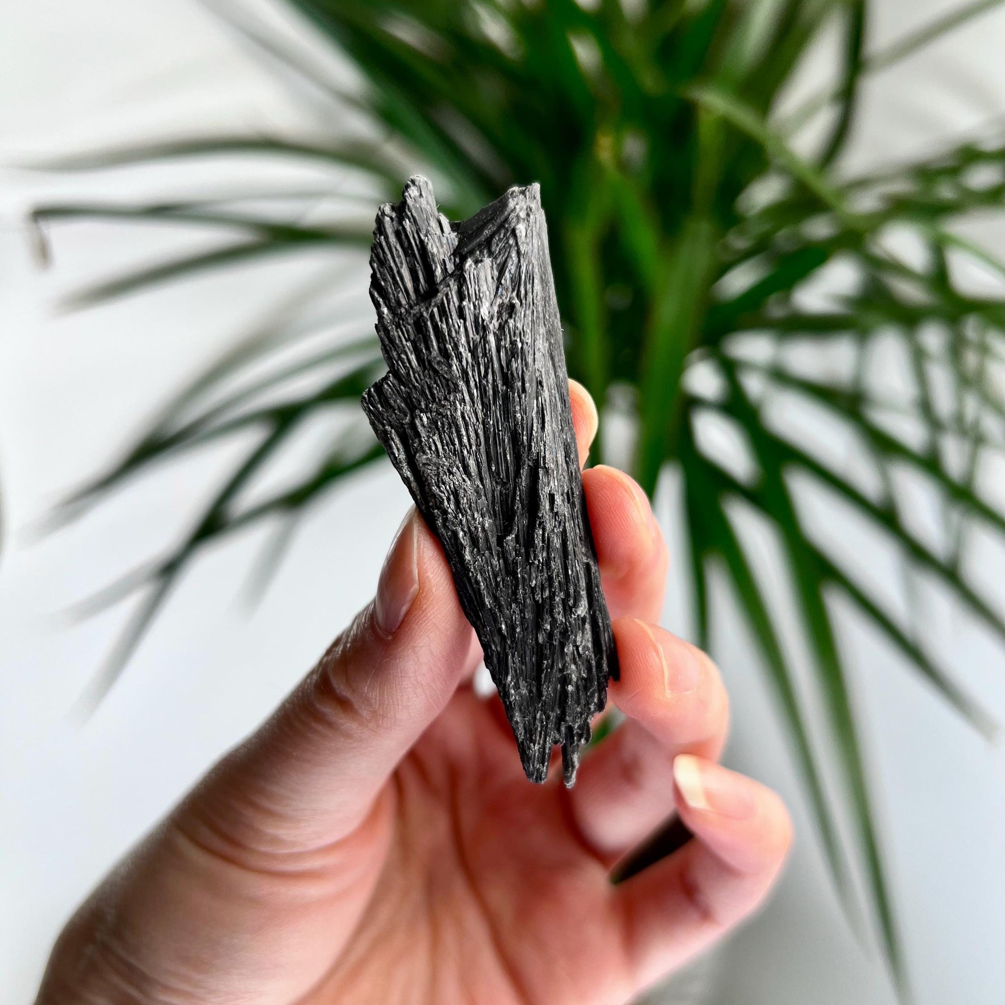 Grade A Natural Black Kyanite Crystal from Araçuaí, Minas Gerais – Hand Selected, BC22, 20g