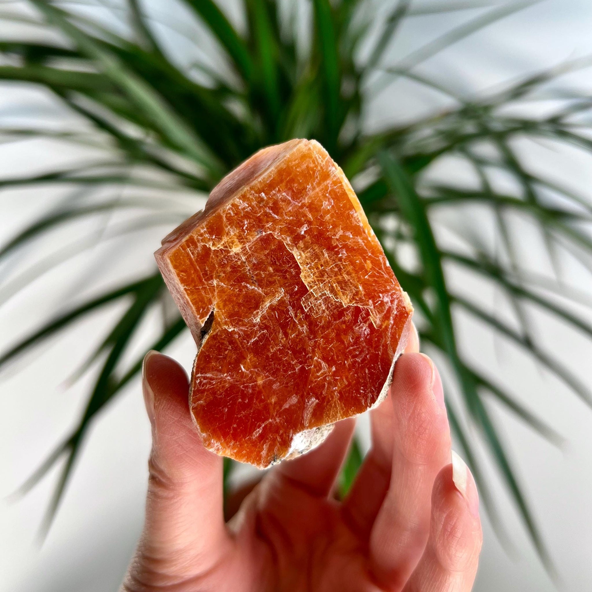Grade AA Natural Orange Calcite with Apatite, Raw Crystal, Sacral, Solar Plexus, and Third Eye Chakra, from Bahia Brazil CA05, 115g