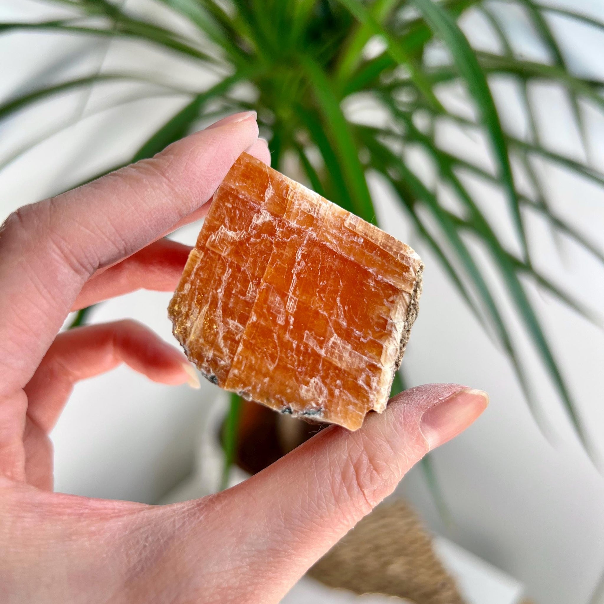Grade A+ Natural Orange Calcite, Raw Crystal, Sacral, Solar Plexus Chakra, from Bahia Brazil CA12, 63g