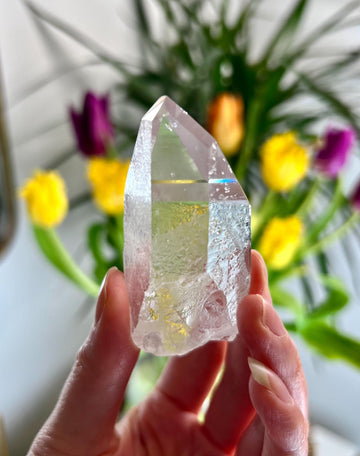 Grade AA Starbrary Quartz – Unique Glyphs, Record Keepers, and Galactic Wisdom, from Tomás Gonzaga, Minas Gerais, Brazil RQG31, 78g