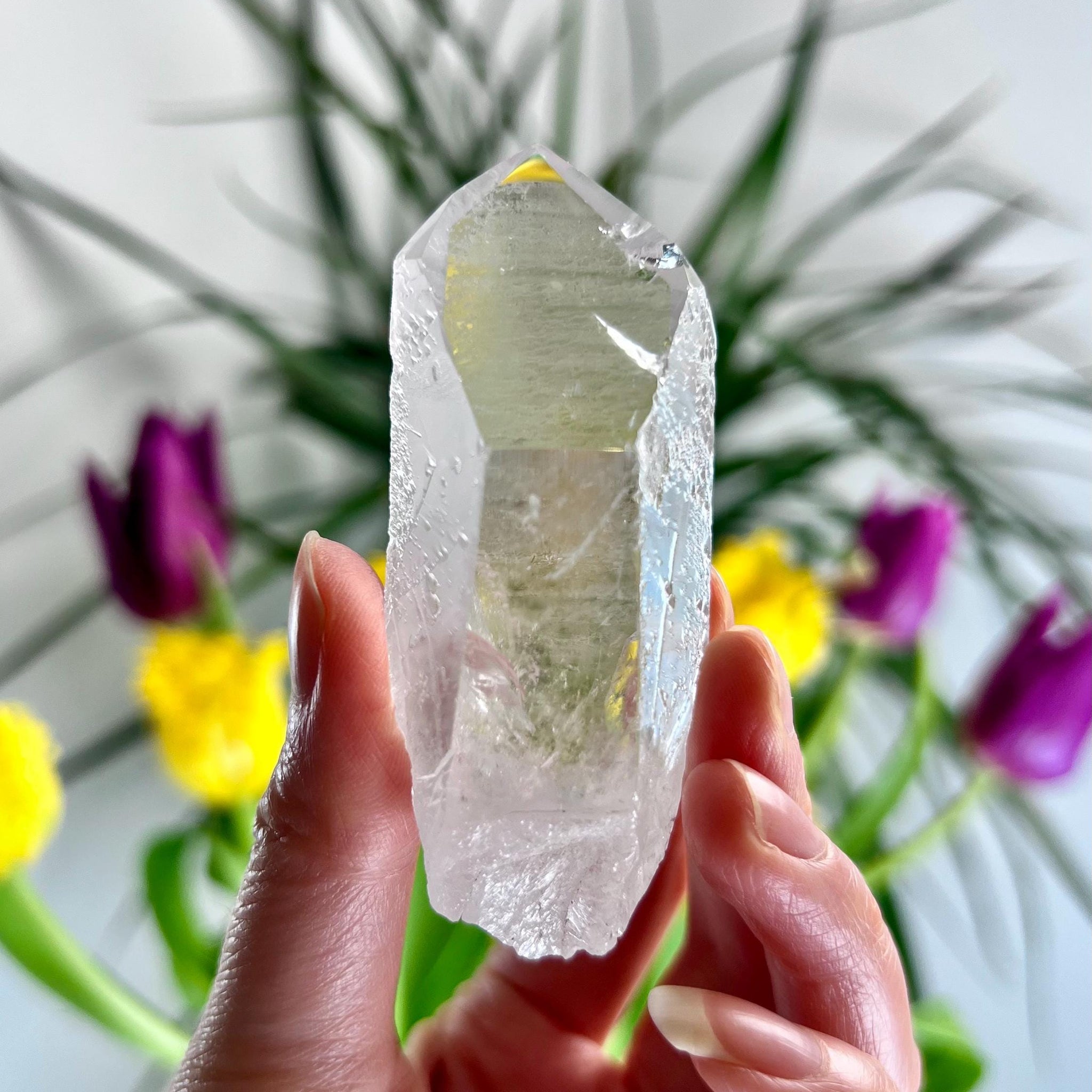 Grade AA Starbrary Quartz – Unique Glyphs, Record Keepers, and Galactic Wisdom, from Tomás Gonzaga, Minas Gerais, Brazil RQG36, 84g