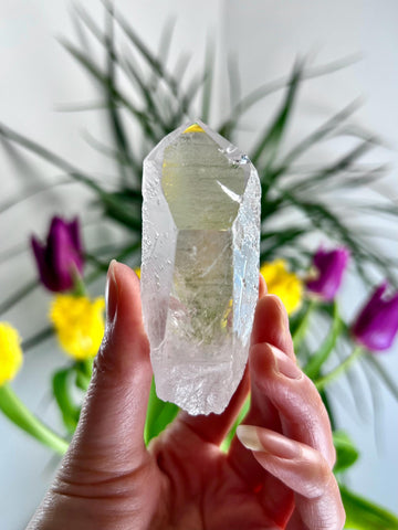 Grade AA Starbrary Quartz – Unique Glyphs, Record Keepers, and Galactic Wisdom, from Tomás Gonzaga, Minas Gerais, Brazil RQG36, 84g