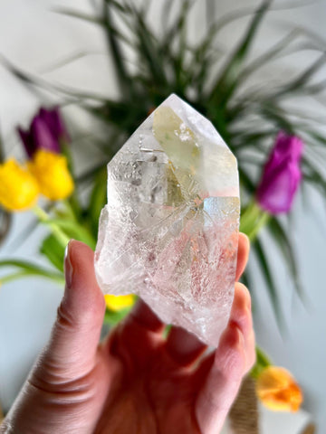 Grade AA Starbrary Quartz – Unique Glyphs, Record Keepers, and Galactic Wisdom, from Tomás Gonzaga, Minas Gerais, Brazil RQG37, 146g