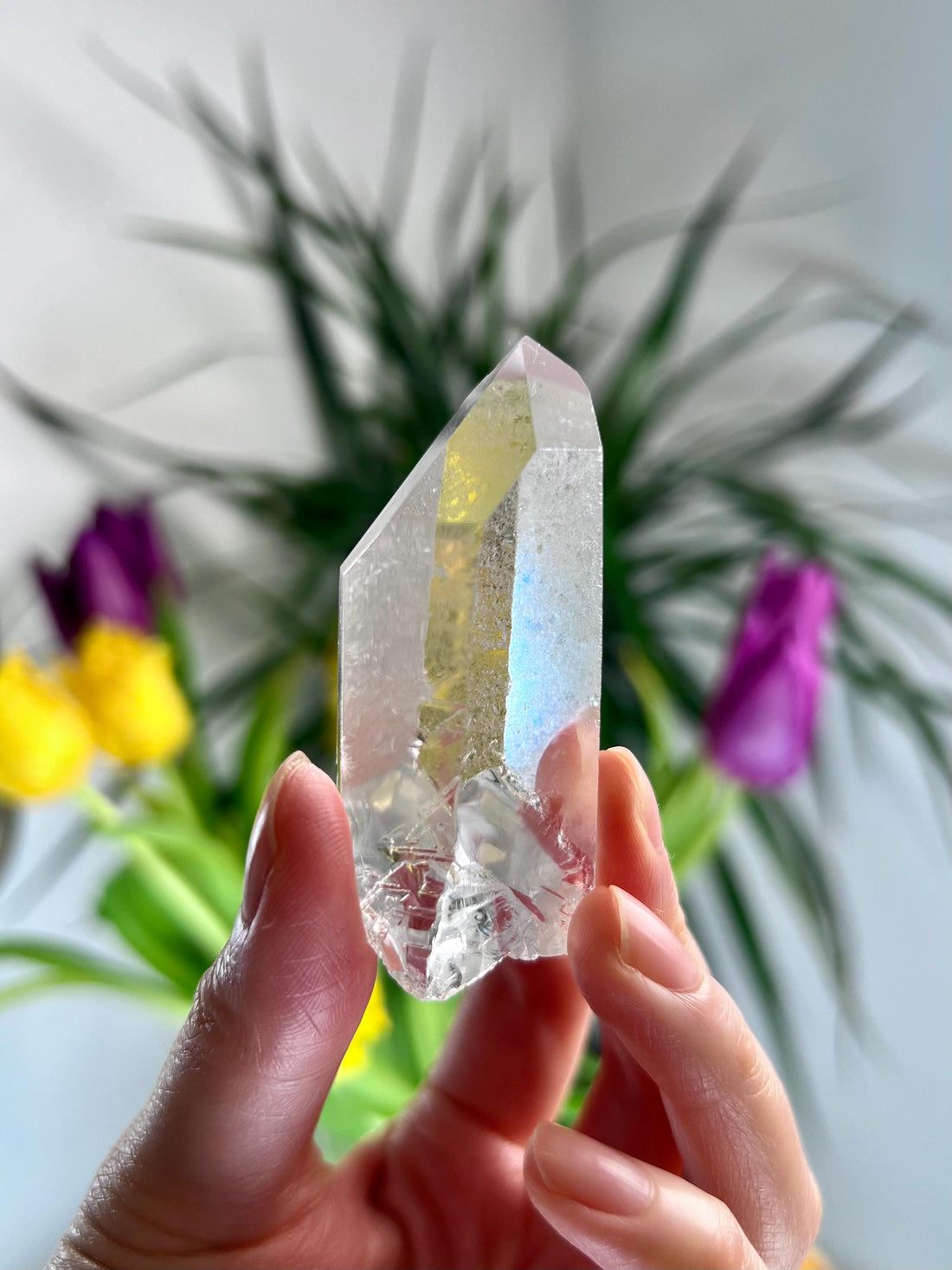 Grade AA Starbrary Quartz – Unique Glyphs, Record Keepers, and Galactic Wisdom, from Tomás Gonzaga, Minas Gerais, Brazil RQG41, 47g