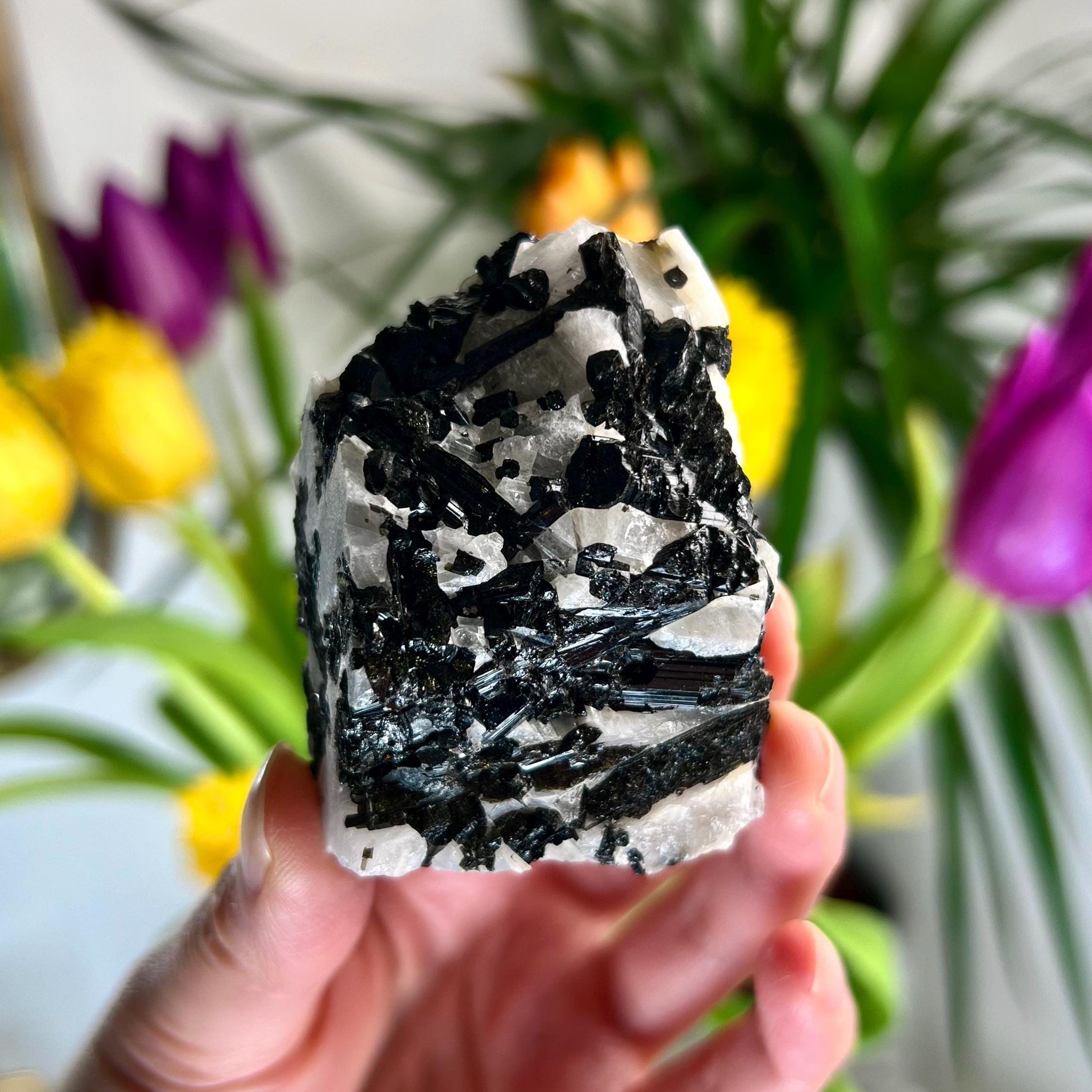 Grade A Black Tourmaline in Quartz – Powerful Energy Shield, Protection & Clarity Stone, from Araçuaí, Brazil BQ01 133g