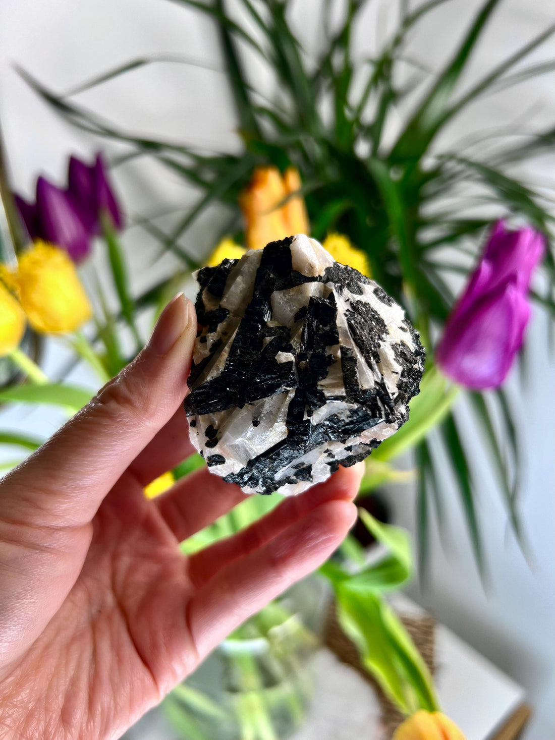 Grade A Black Tourmaline in Quartz – Powerful Energy Shield, Protection & Clarity Stone, from Araçuaí, Brazil BQ07, 152g